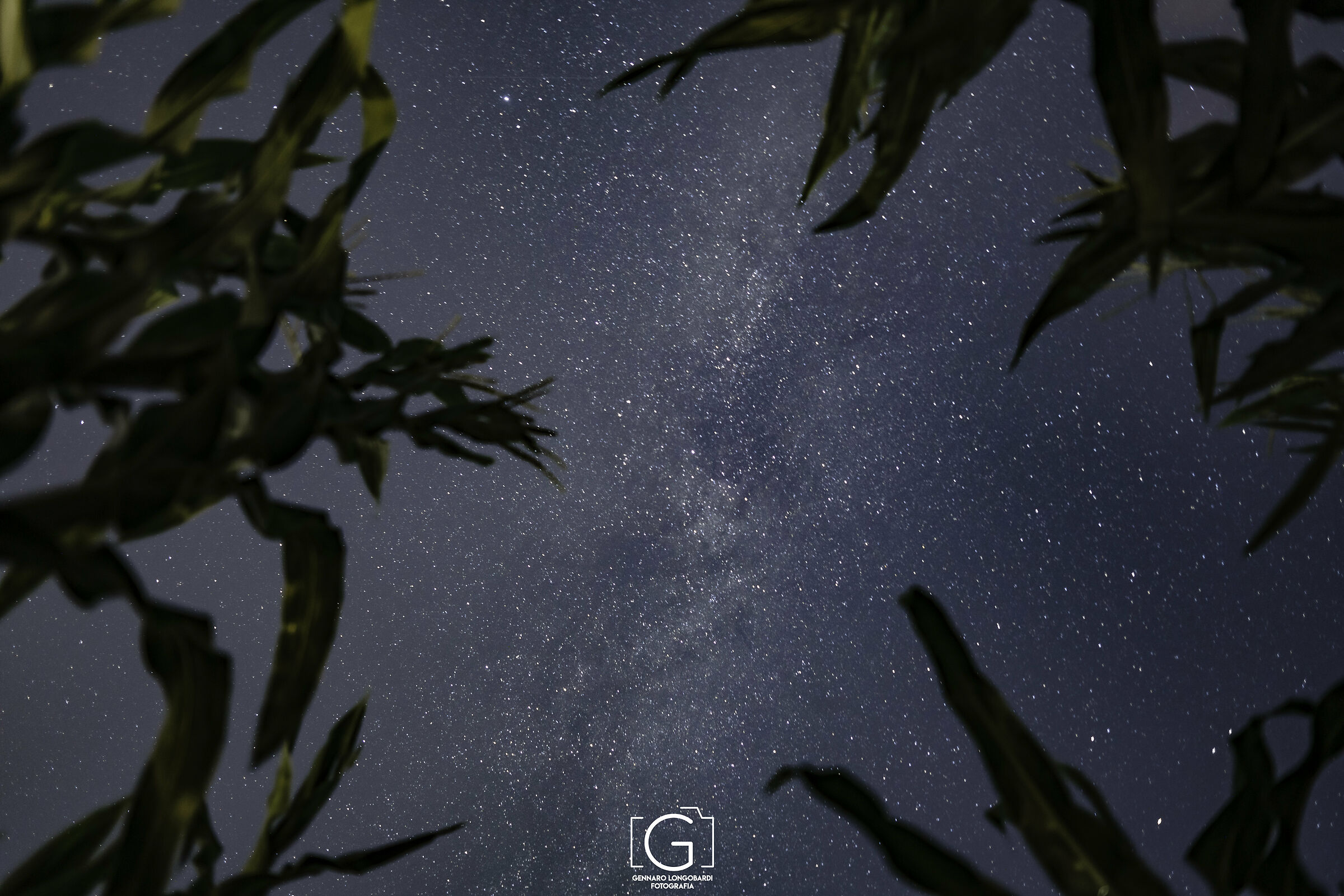 On the night of desires...