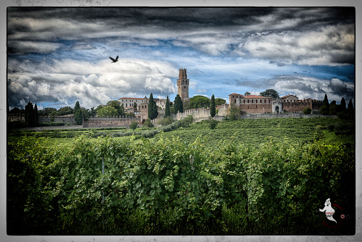 Esperim... castle with R5