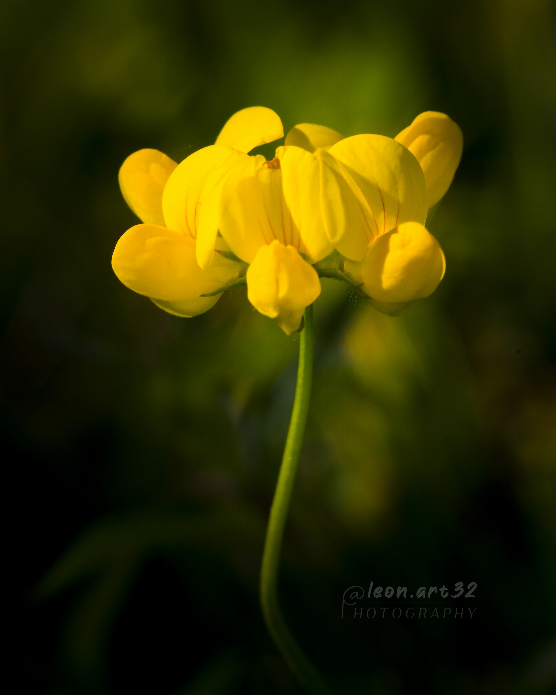 There's some big in the little