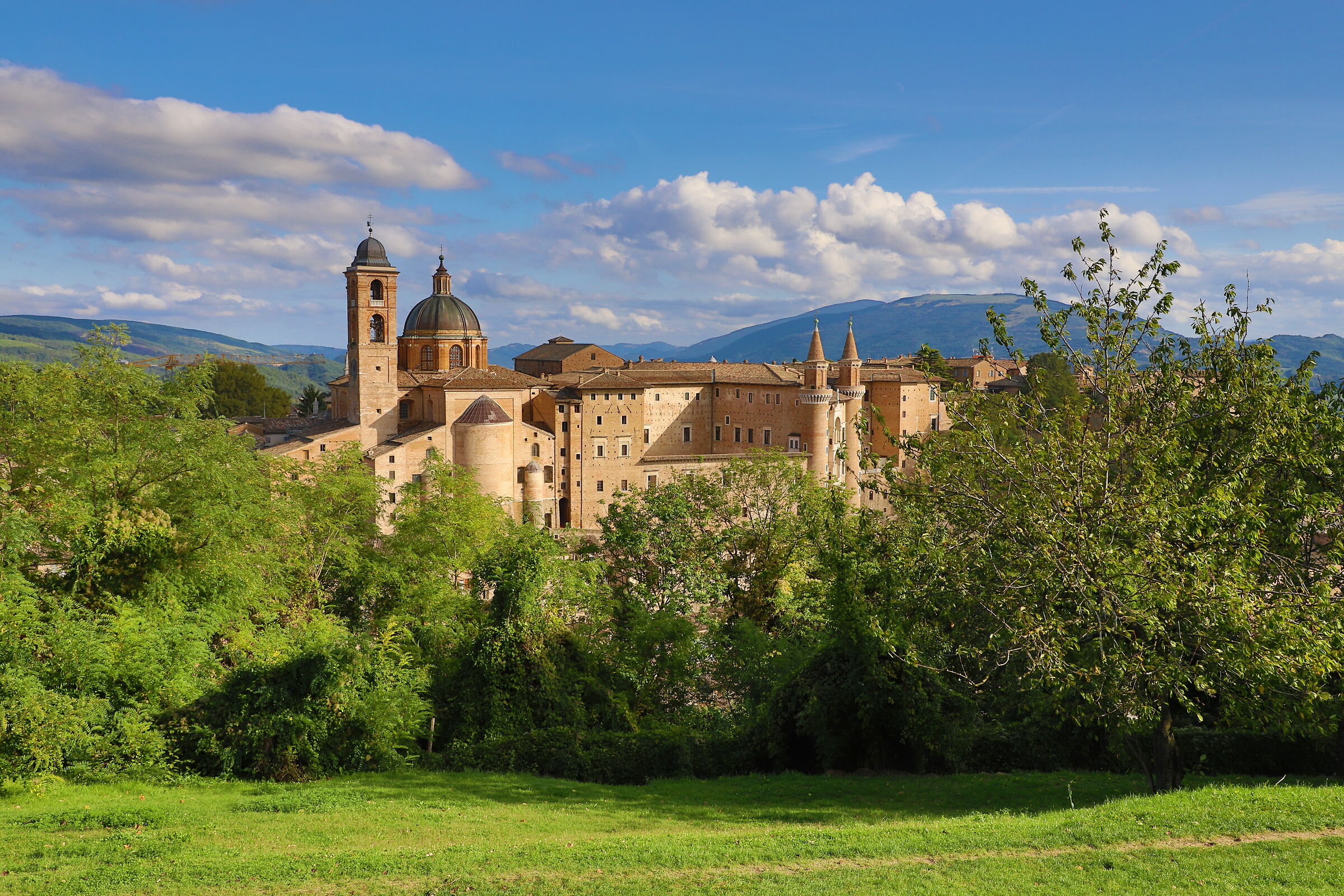 Urbino