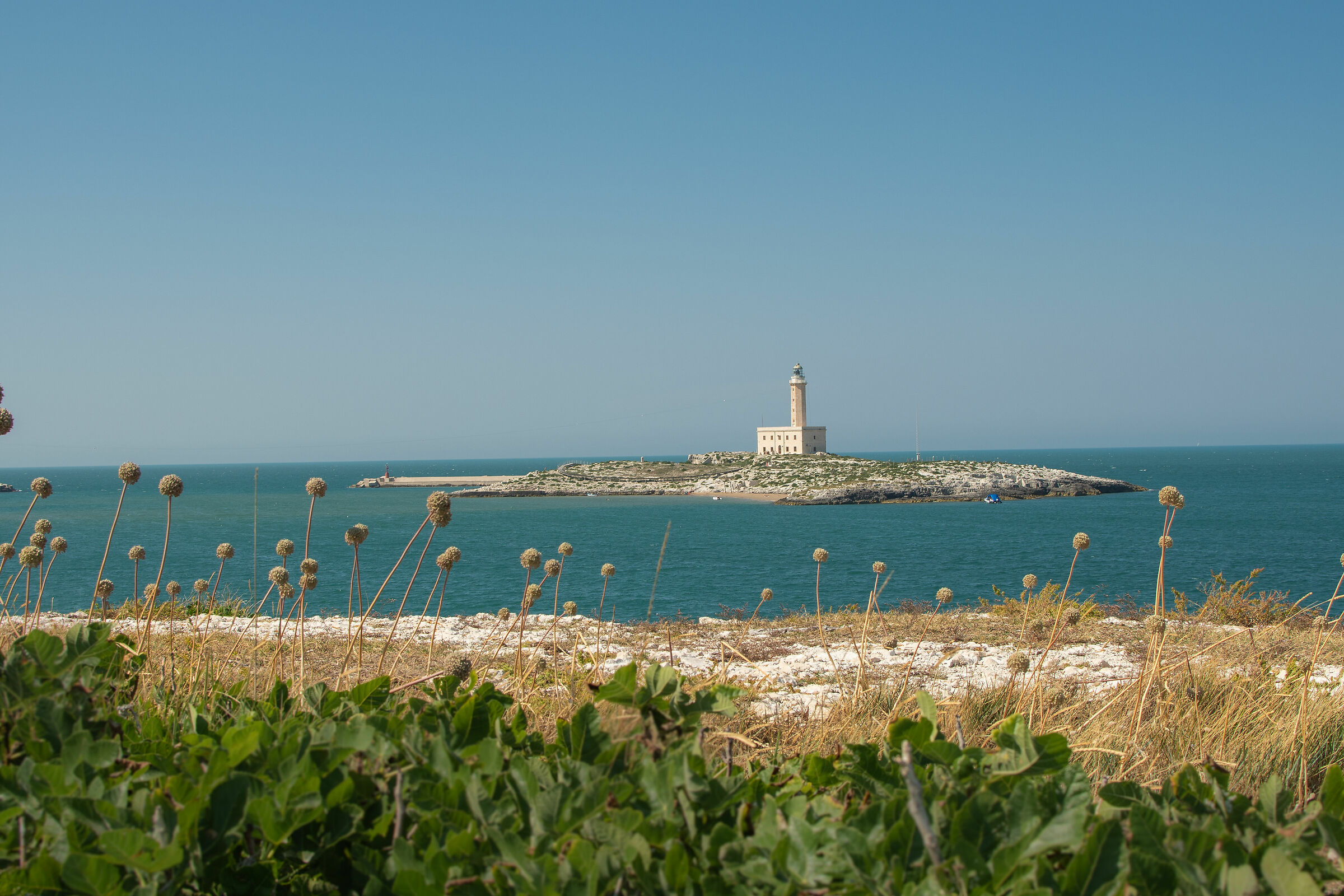 Vieste Lighthouse