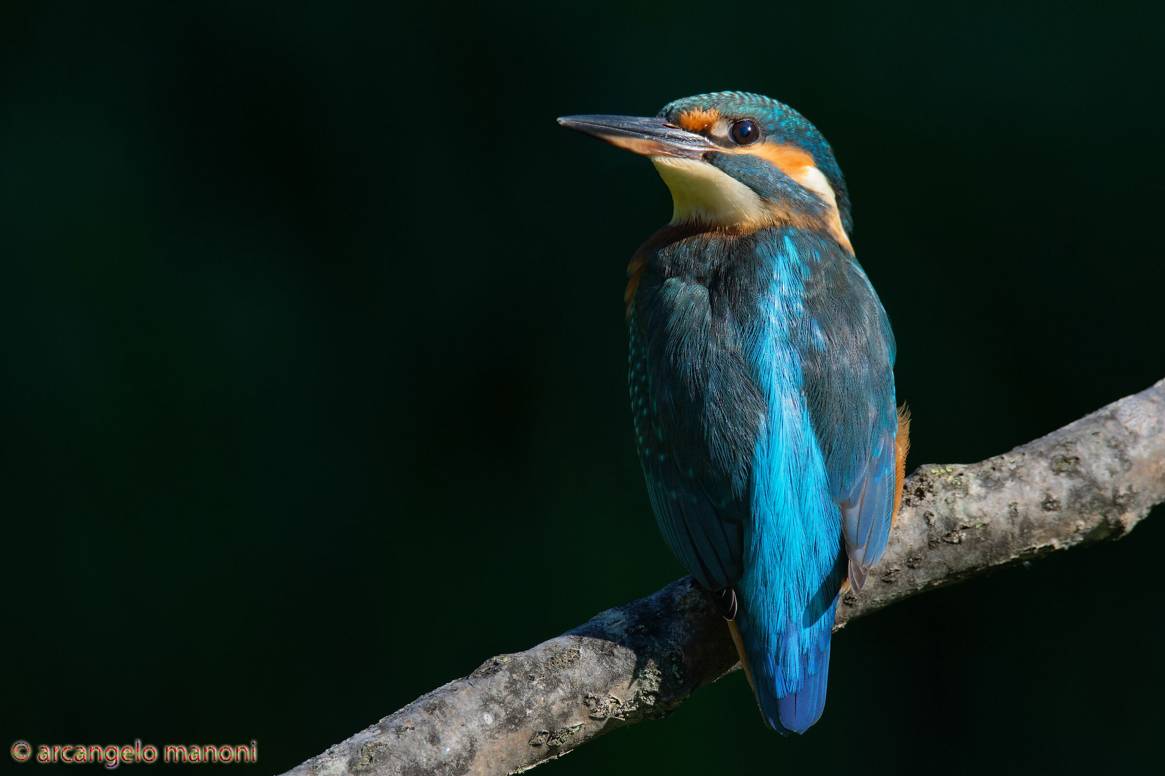 The look of the martina