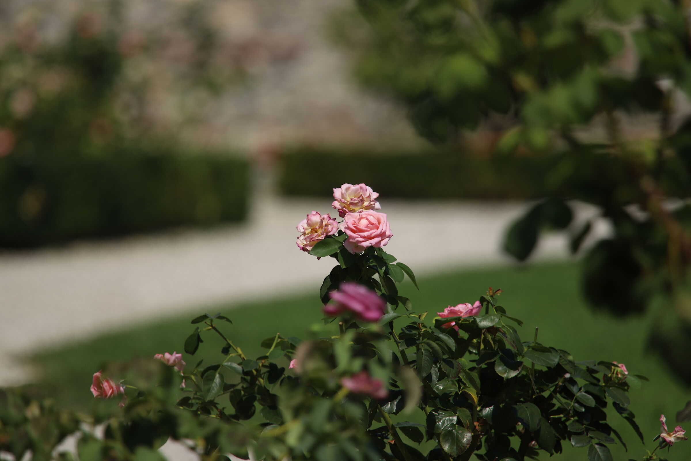 Villa Valmarana to the Dwarves, Vicenza