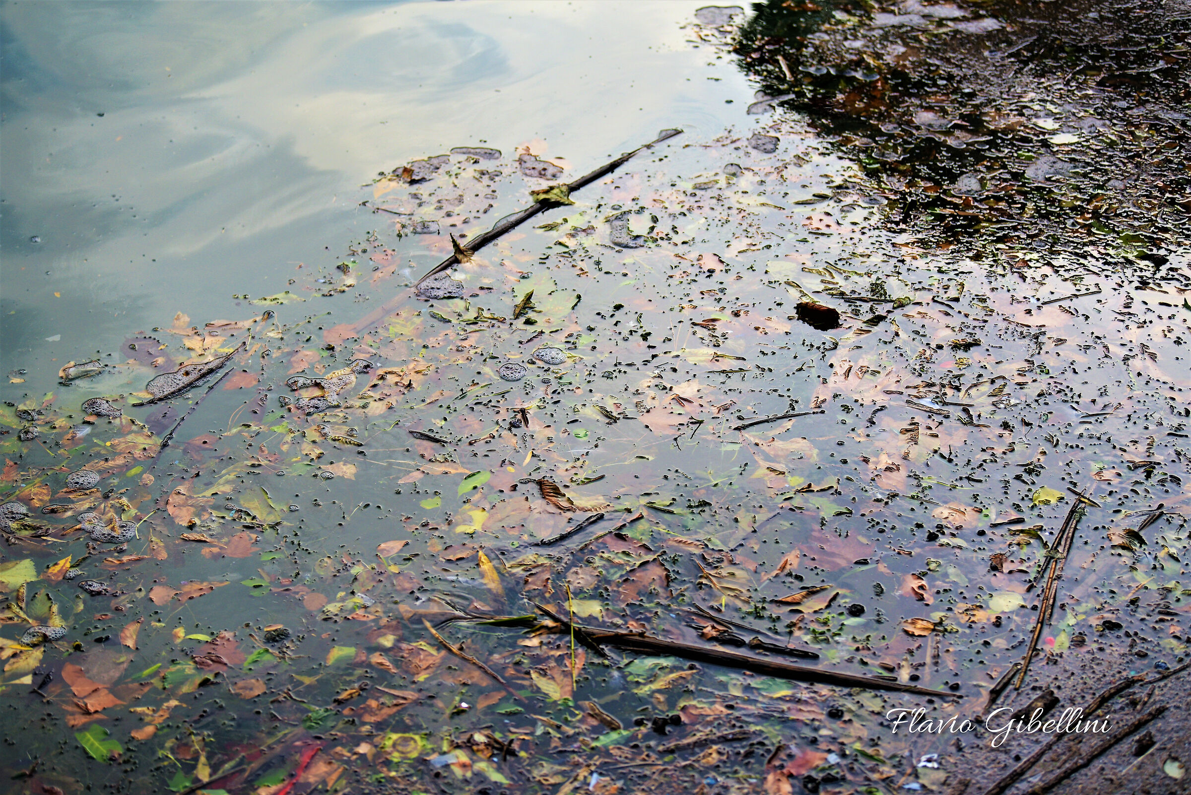La quiete dopo la tempesta