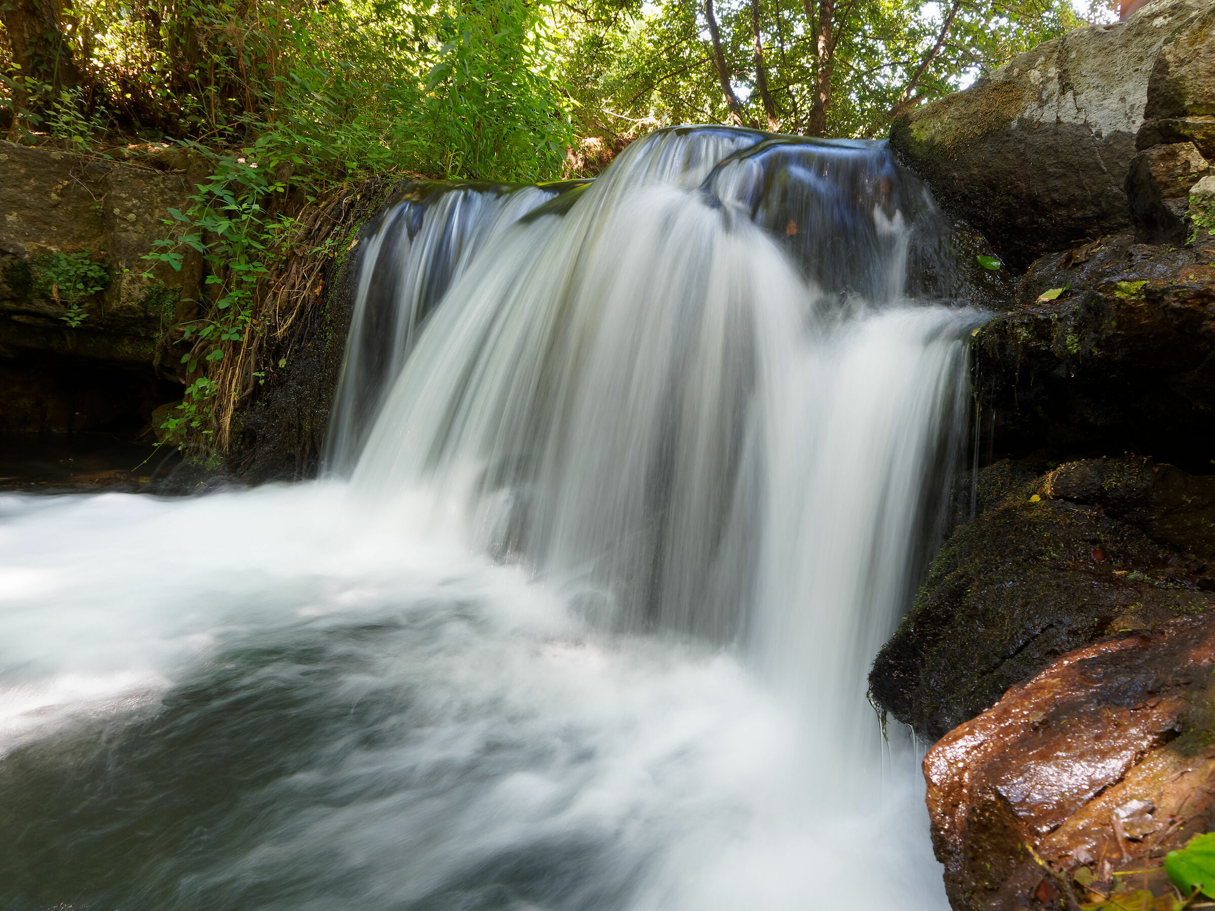 M.Gelato Falls