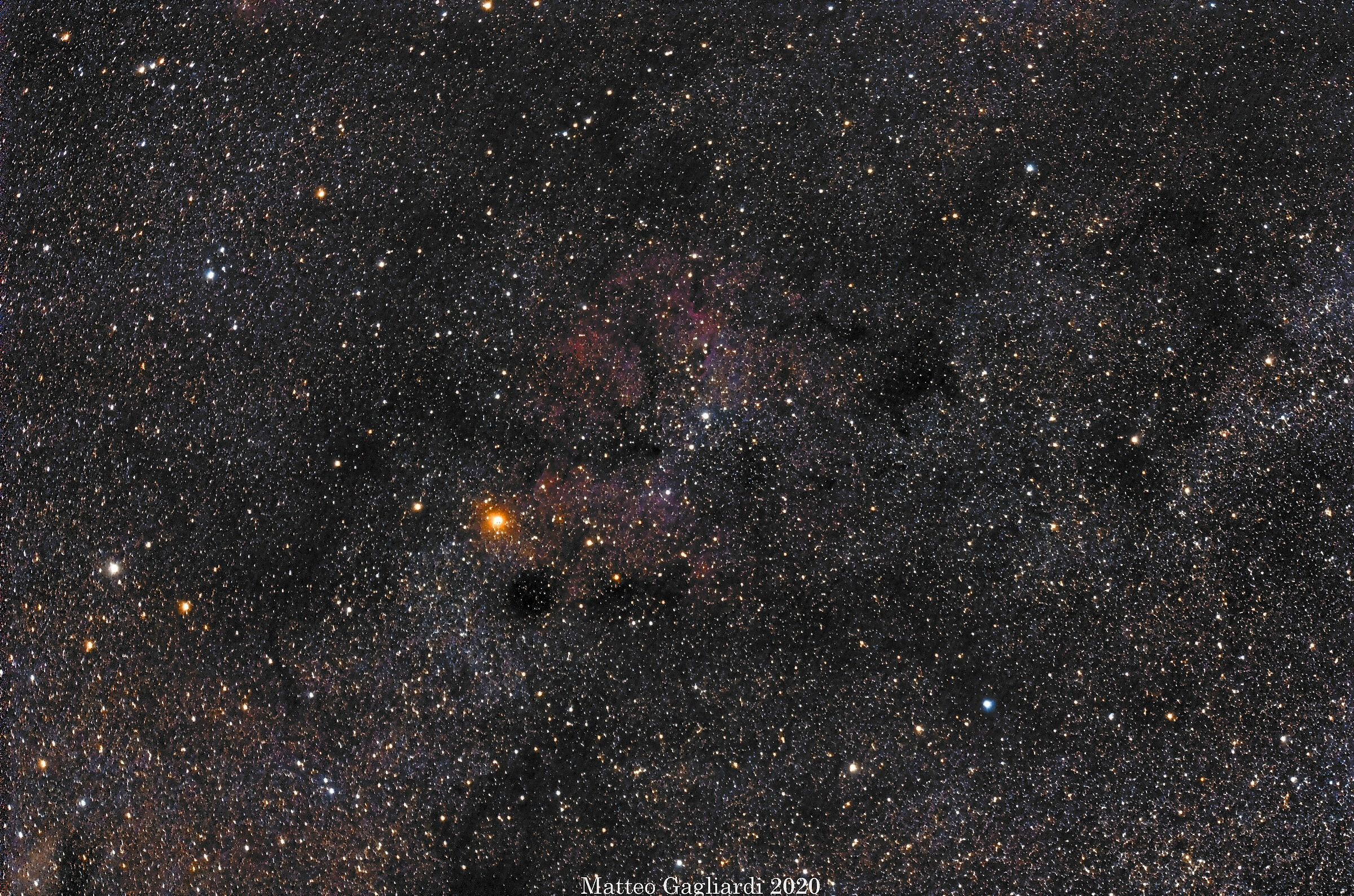 Cepheus