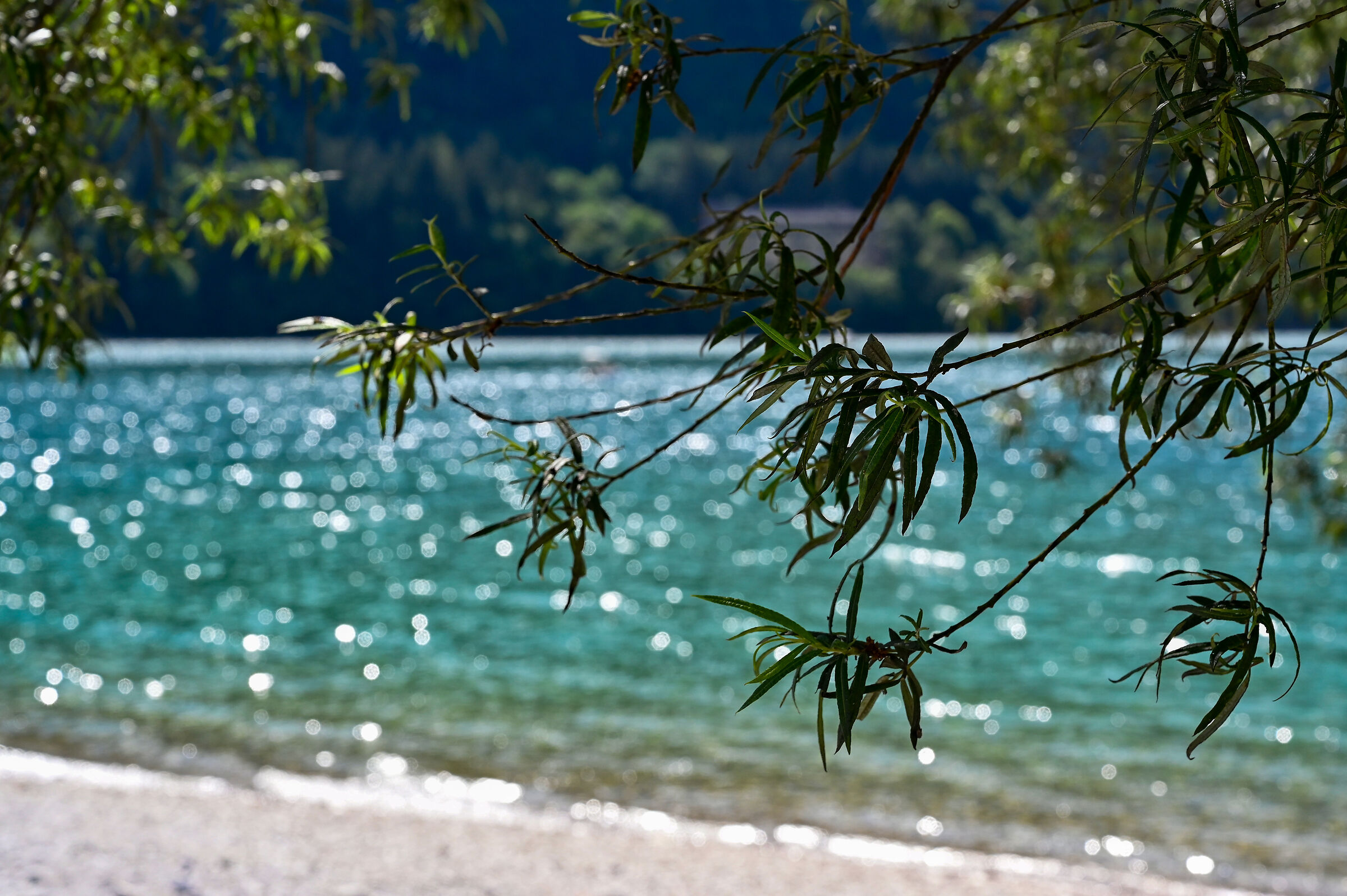 Reflections on the lake