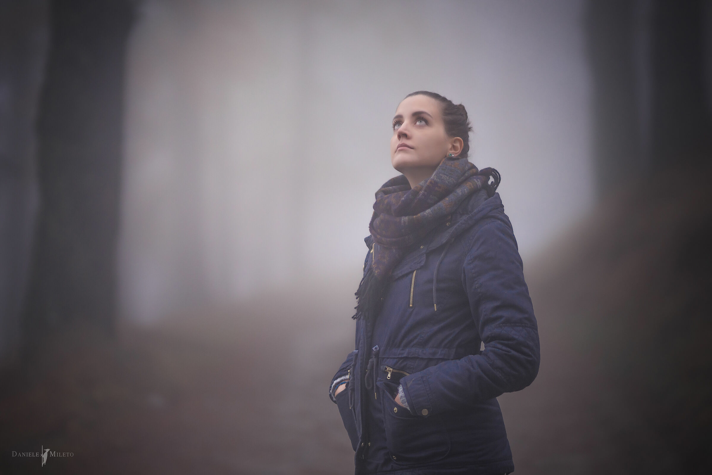 fog