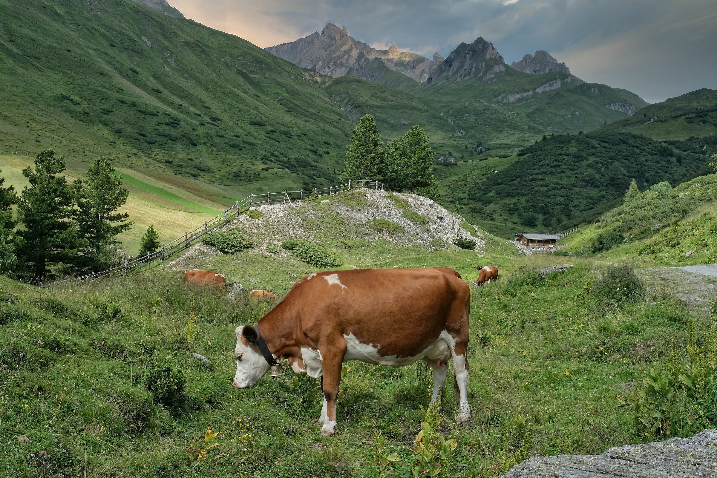 Valle dei Dossi Riva di Tures