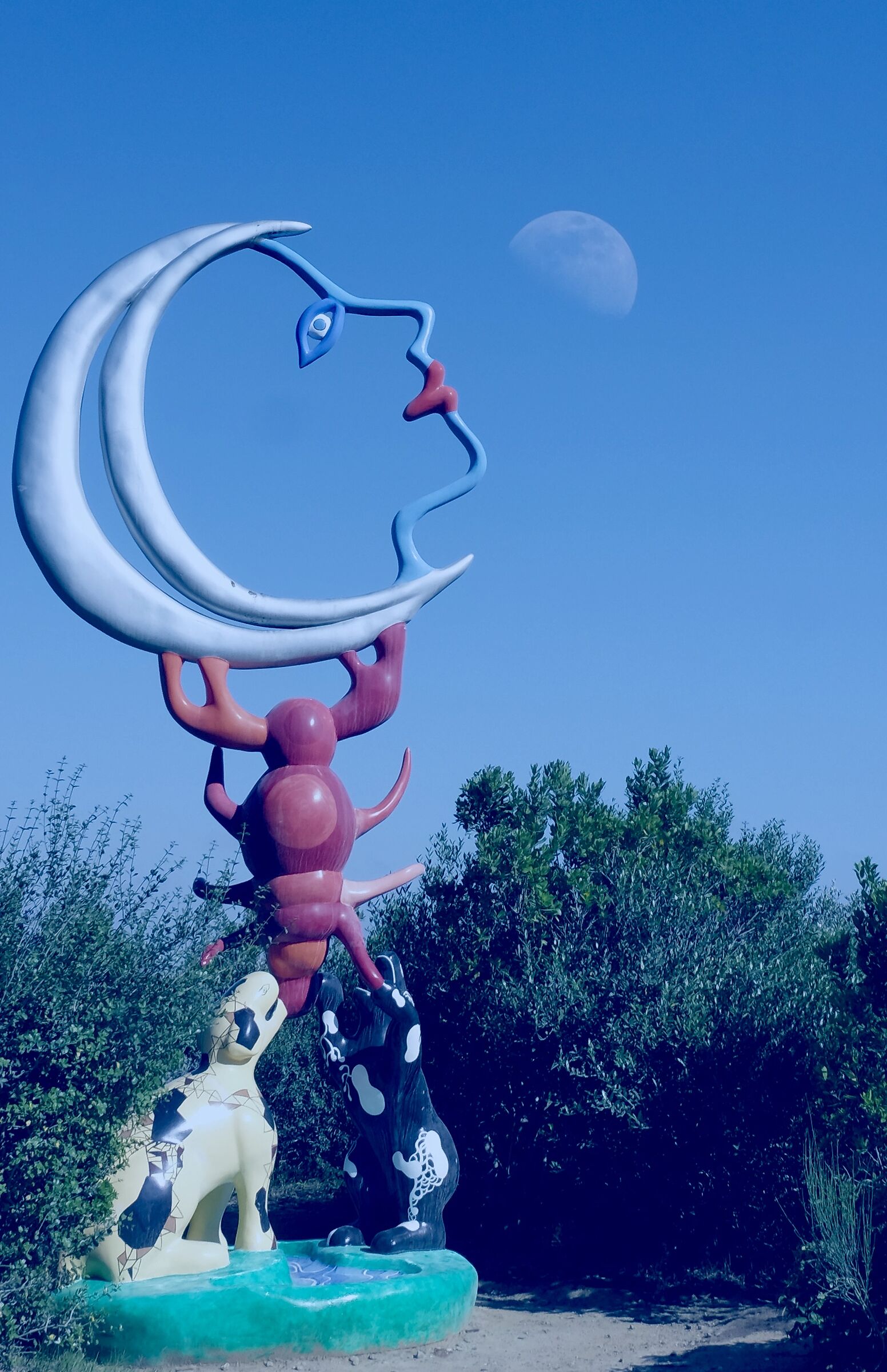 Lune , parco di Capalbio