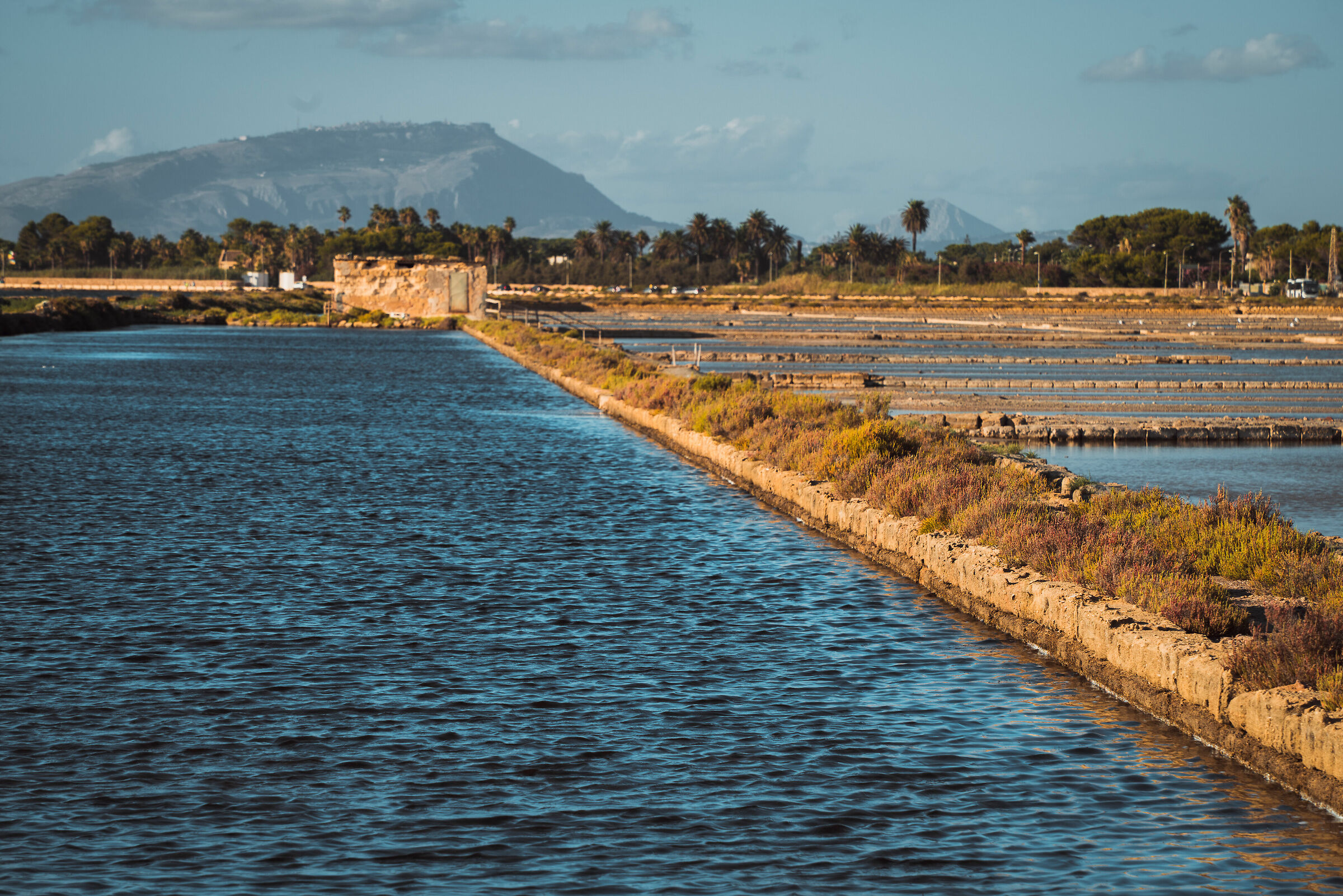 Saline Marsala. a fridda