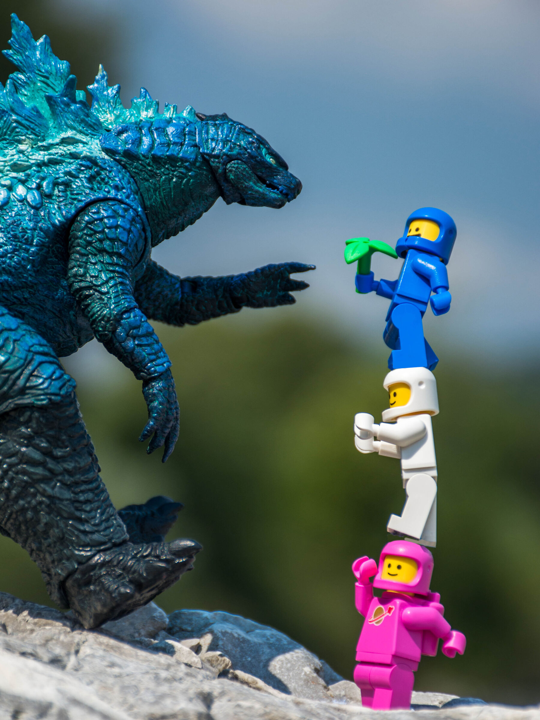 Zoo trip: The giraffe