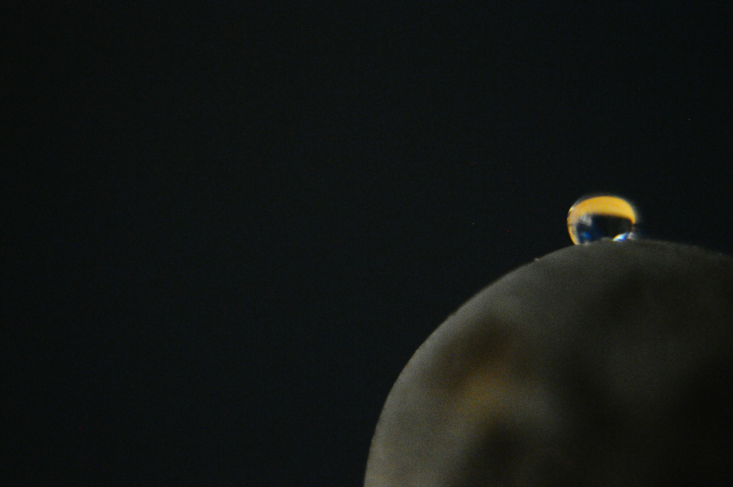 I Pensieri Della Bolla