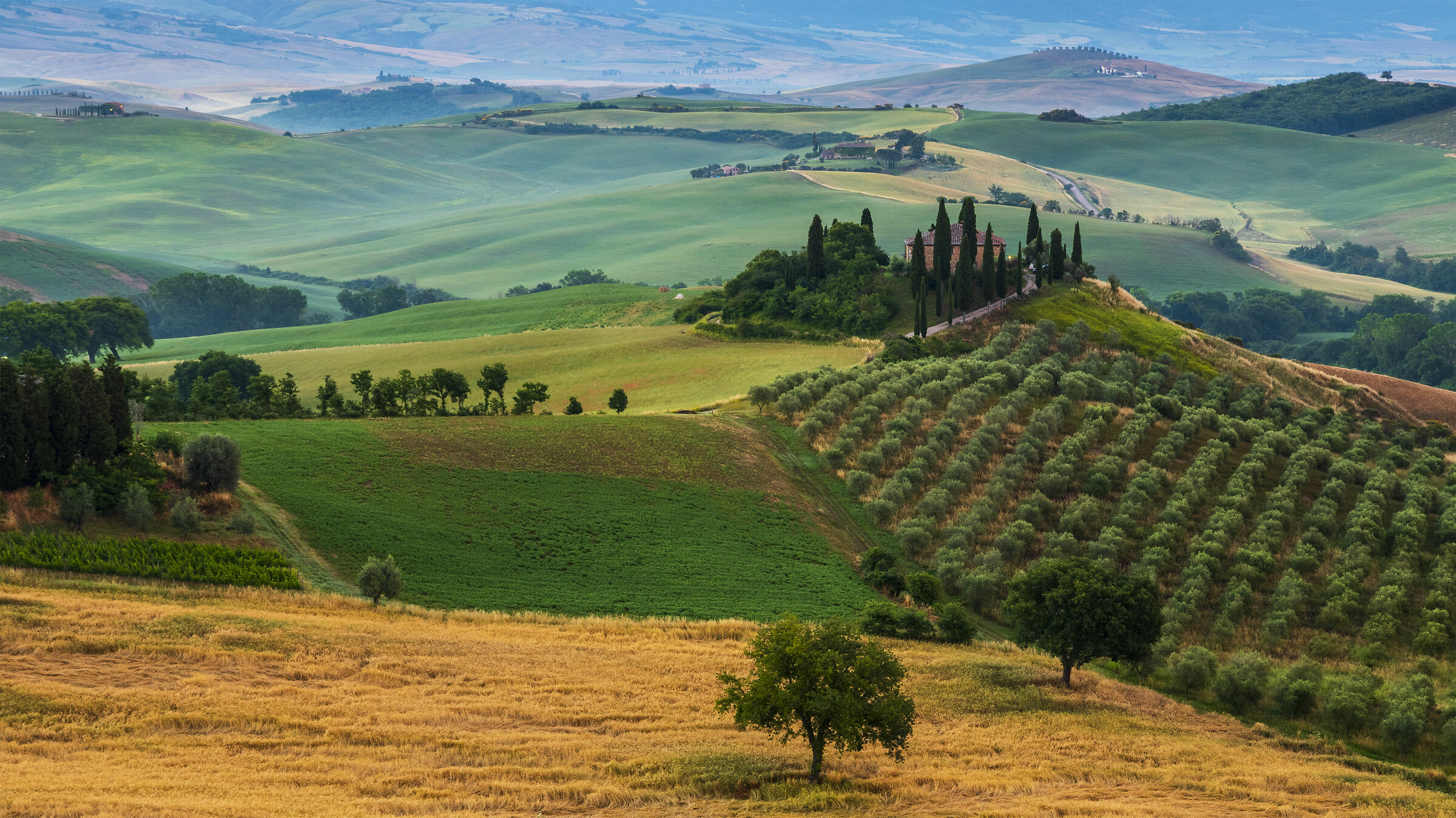 Belvedere farm just before Dawn