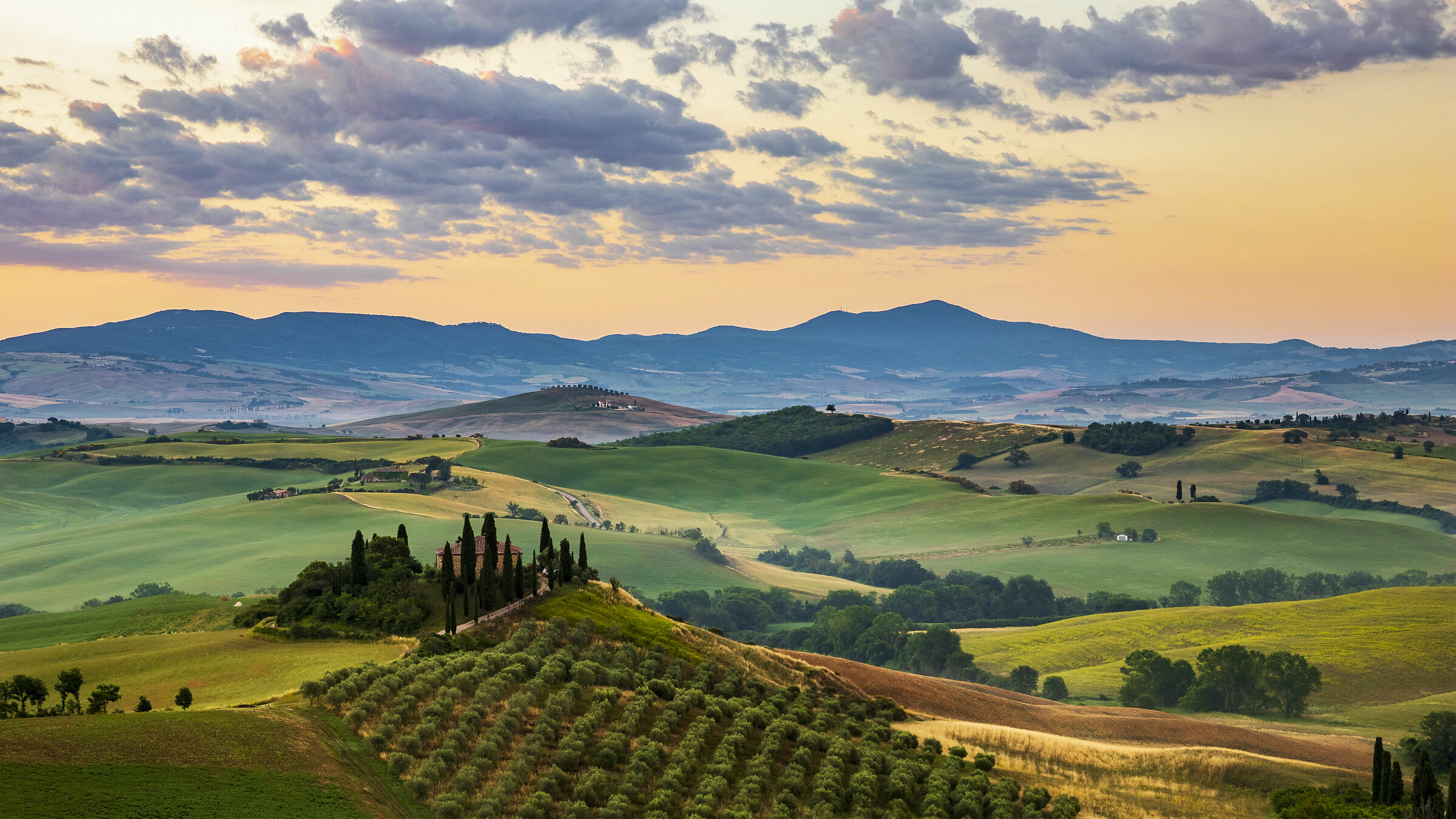 Belvedere Farm at Dawn