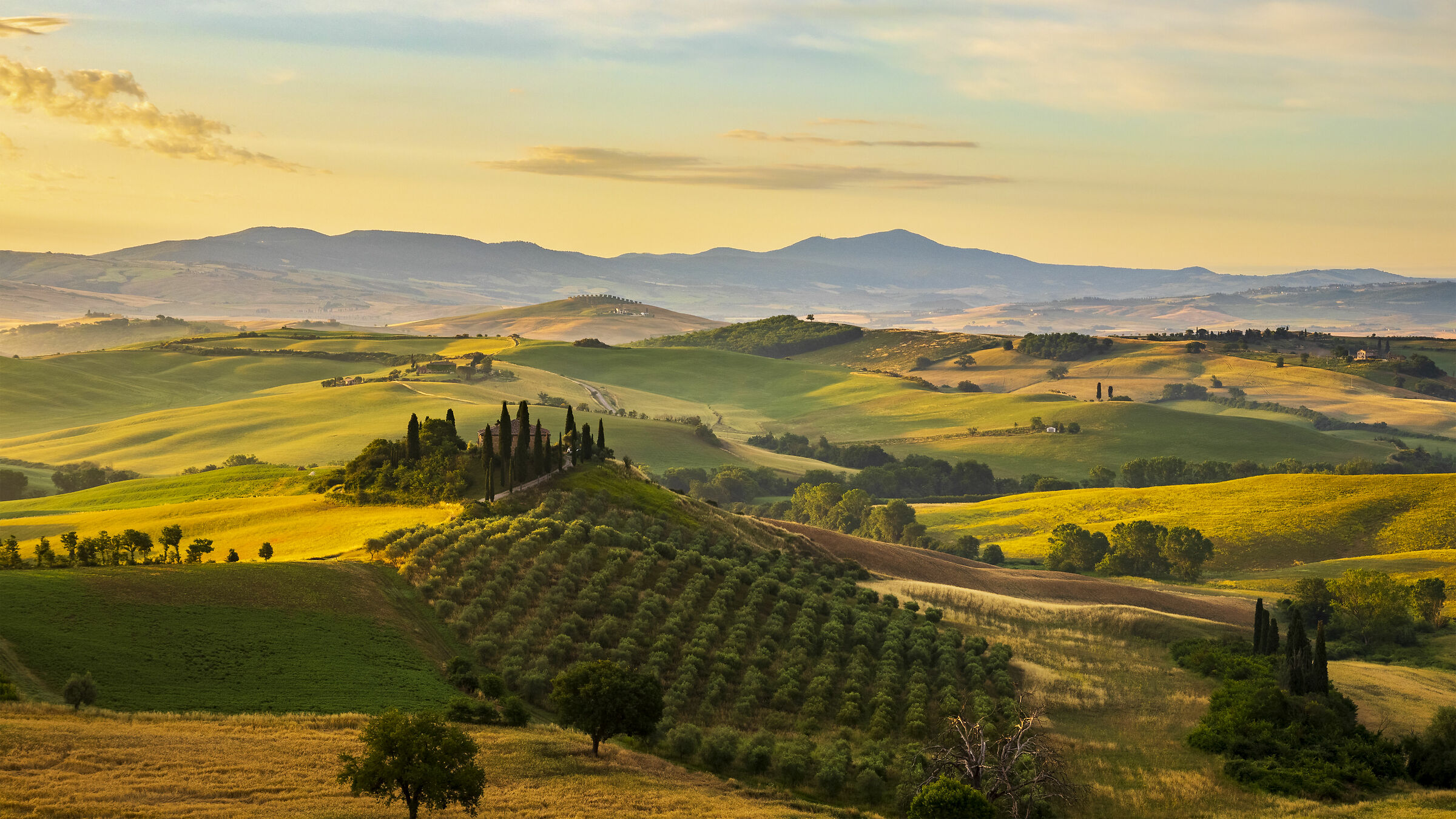 Belvedere farm shortly after Sunrise