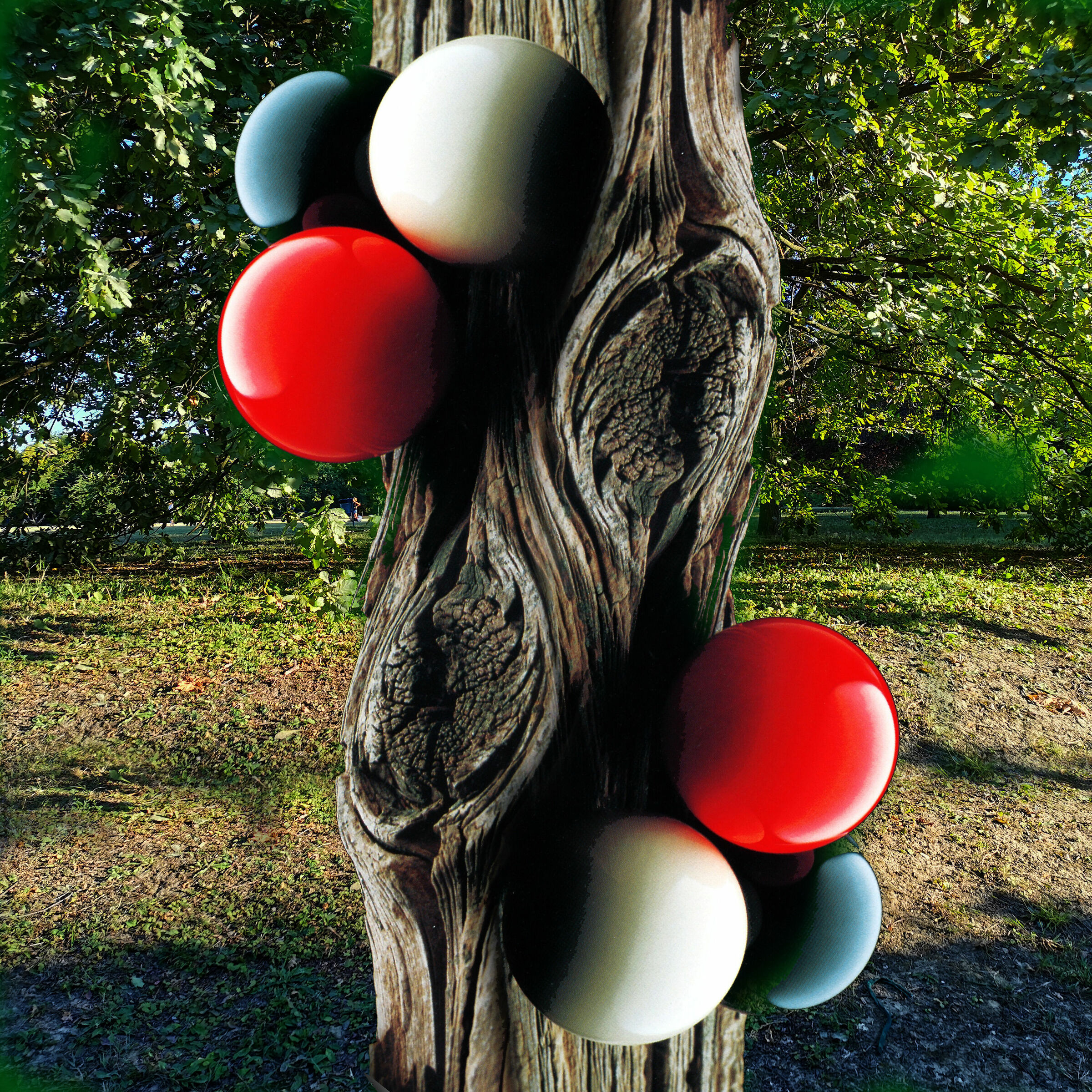 il bosco impossibile