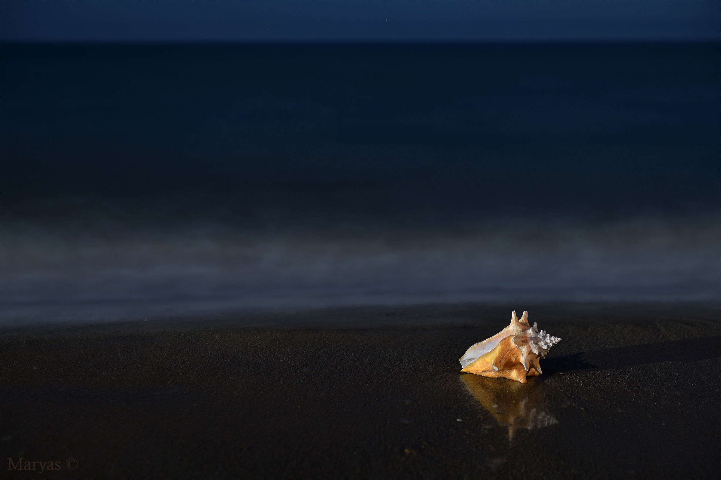 Una magica notte d'estate