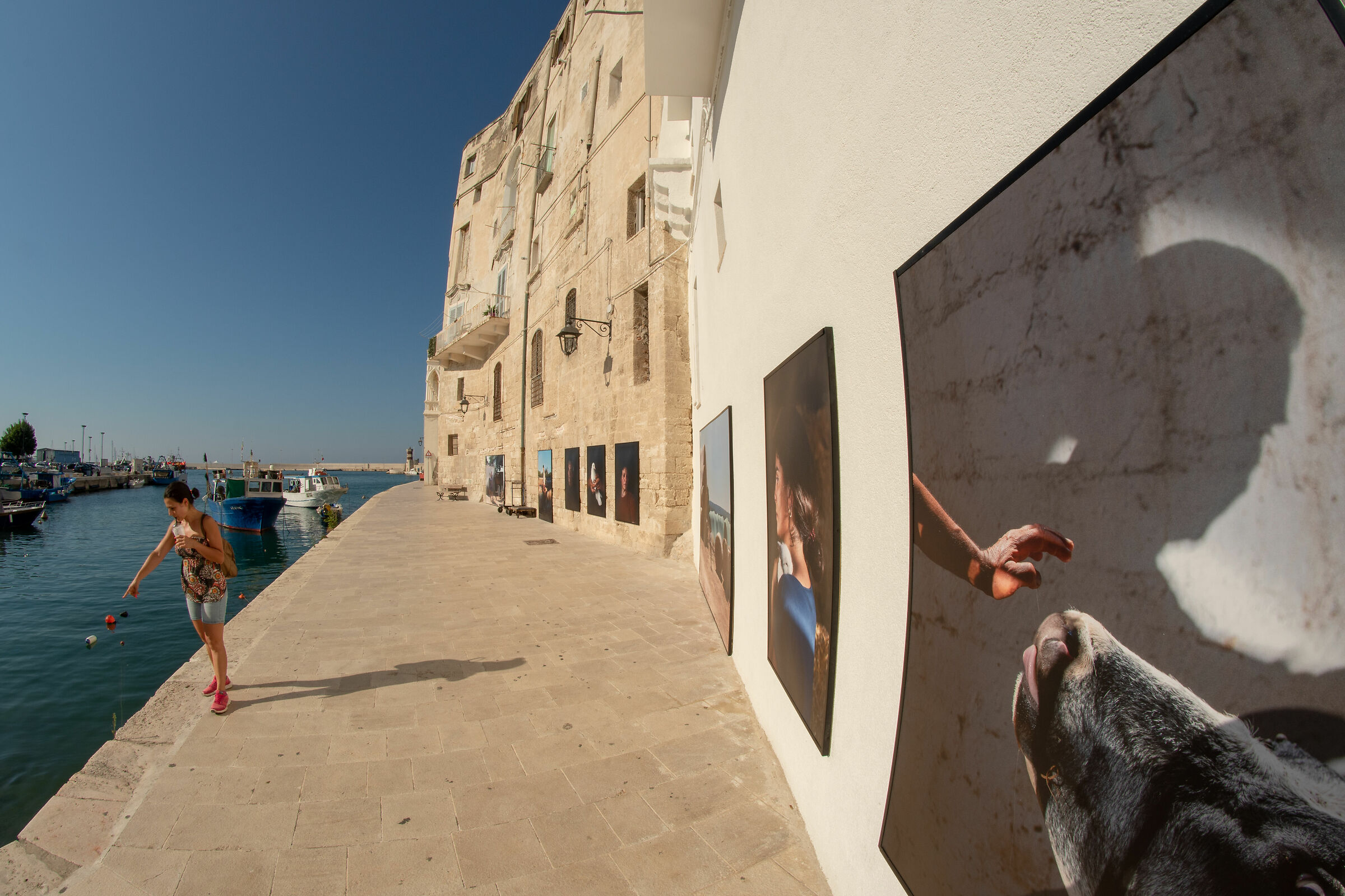 Porto Monopoly Photo Exhibition