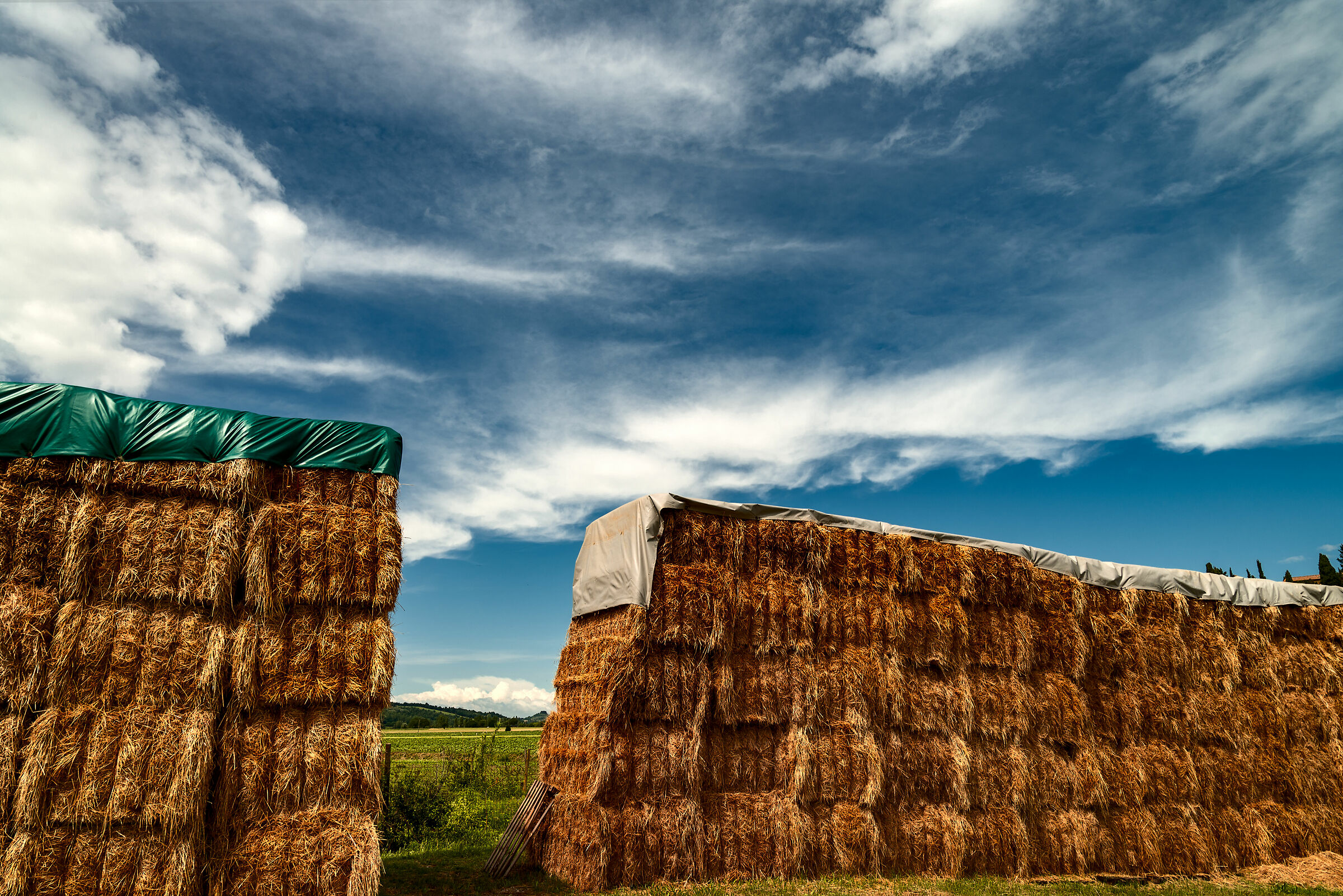 campagna toscana/umbria valdichiana bassa