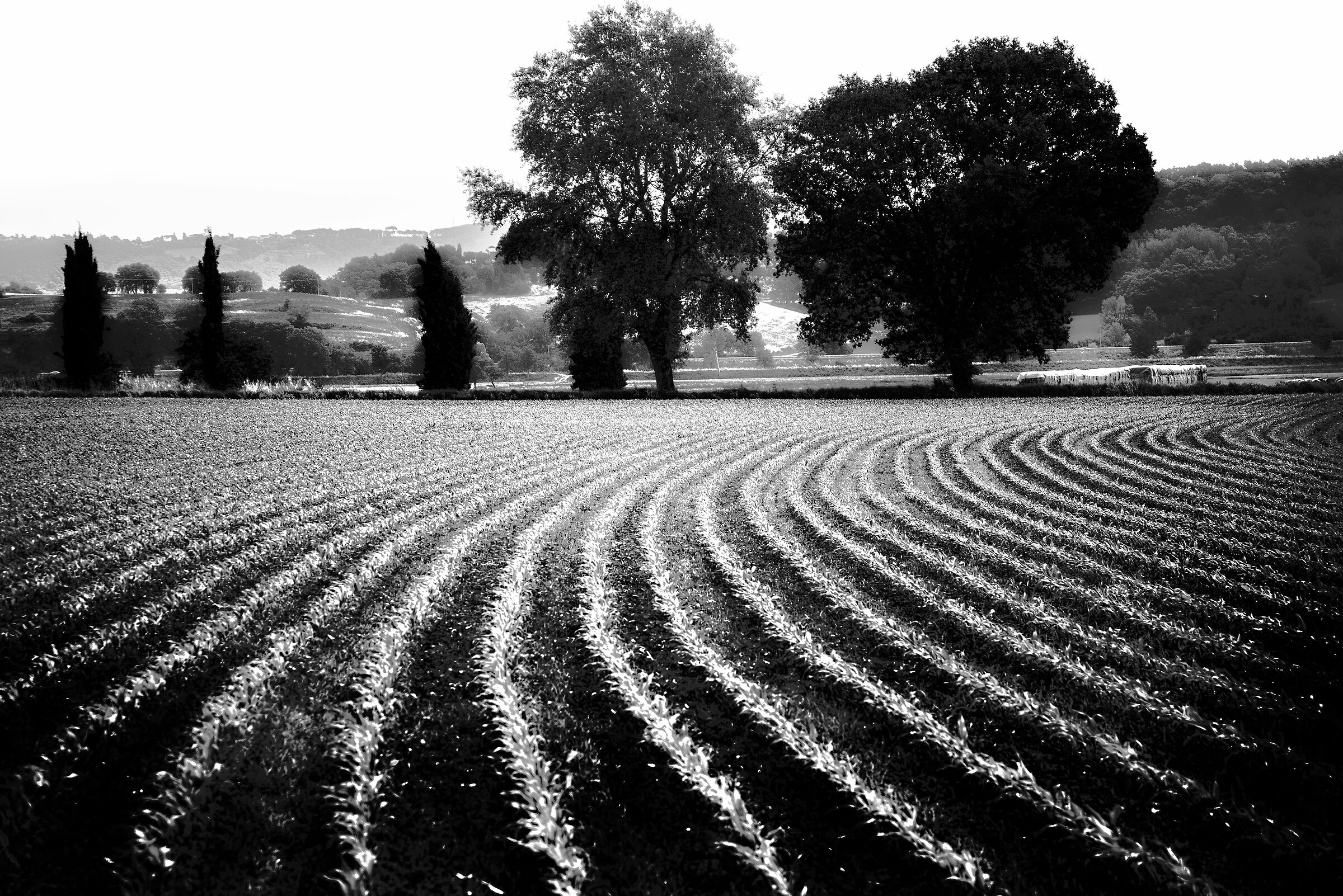 paesaggio pressi cetona(si)