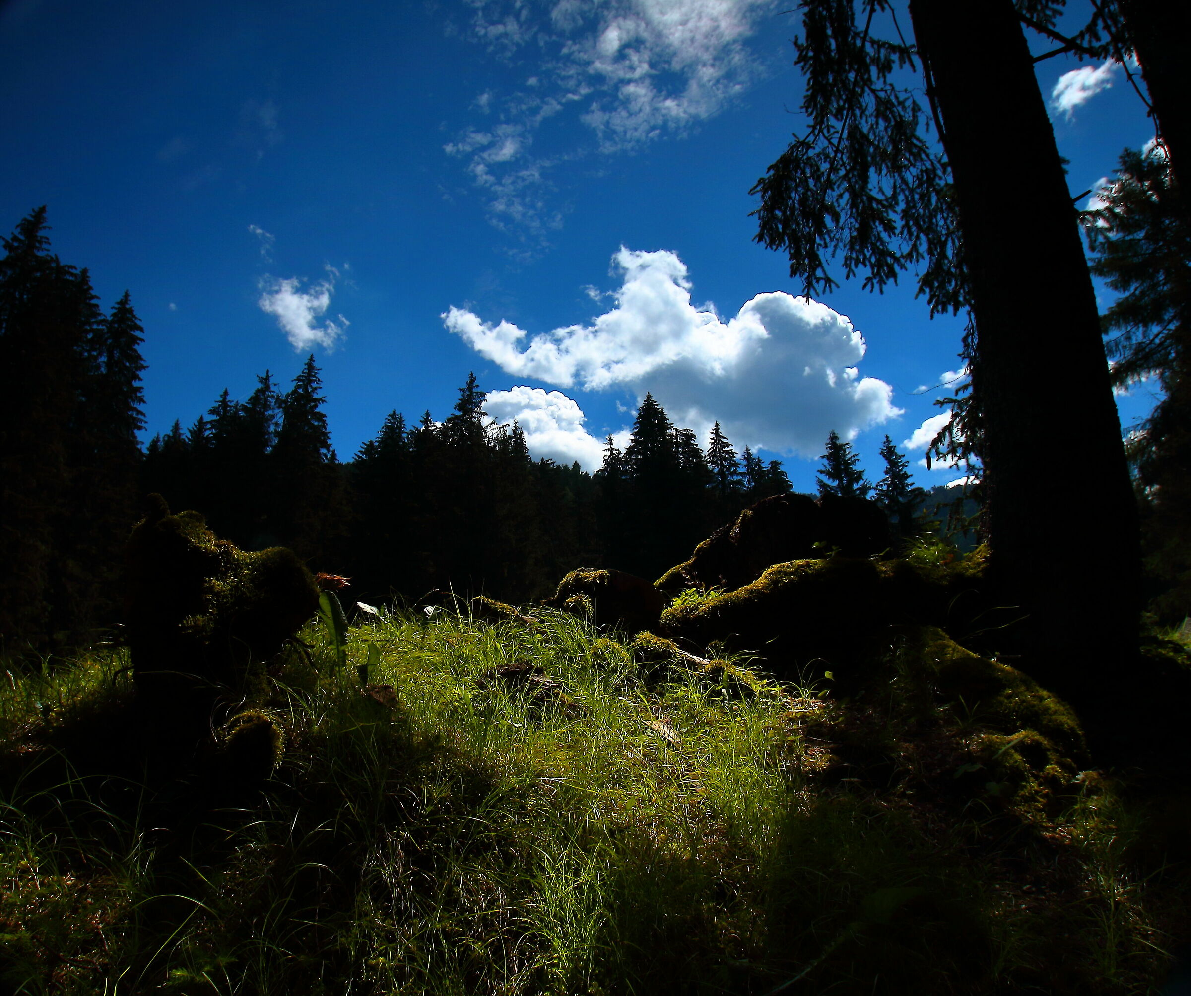 trentino