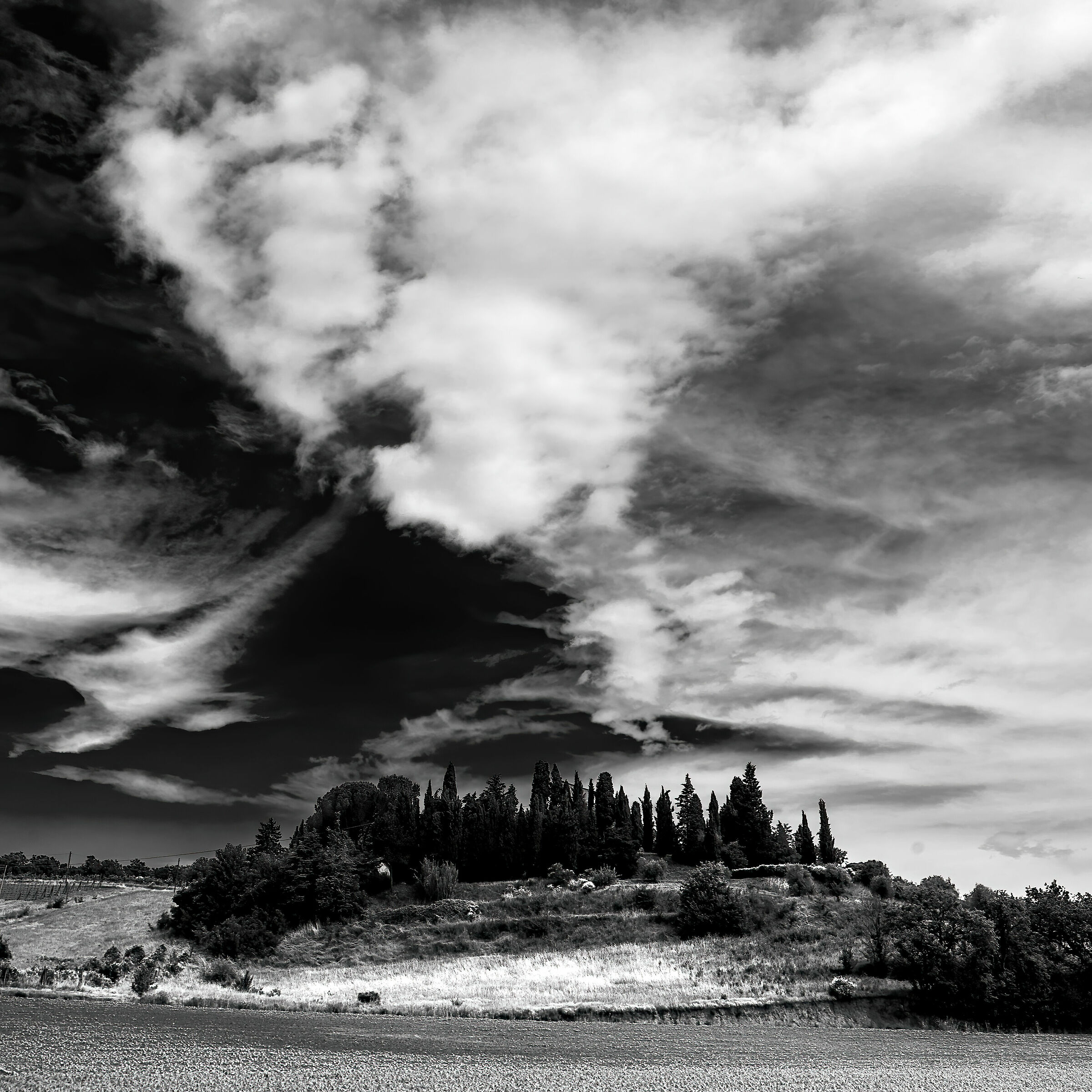 paesaggio pressi cetona(si)