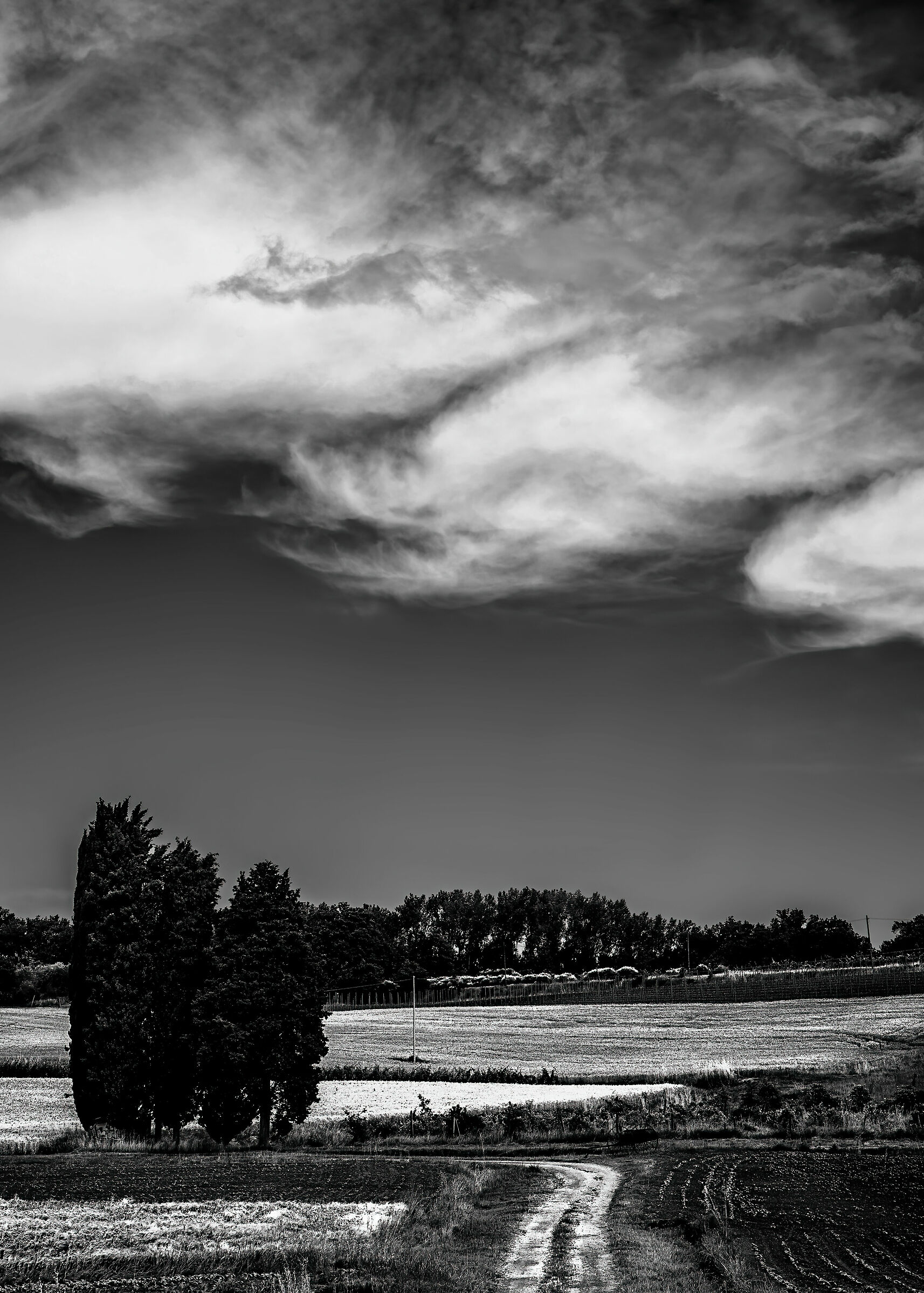 paesaggio pressi cetona(si)