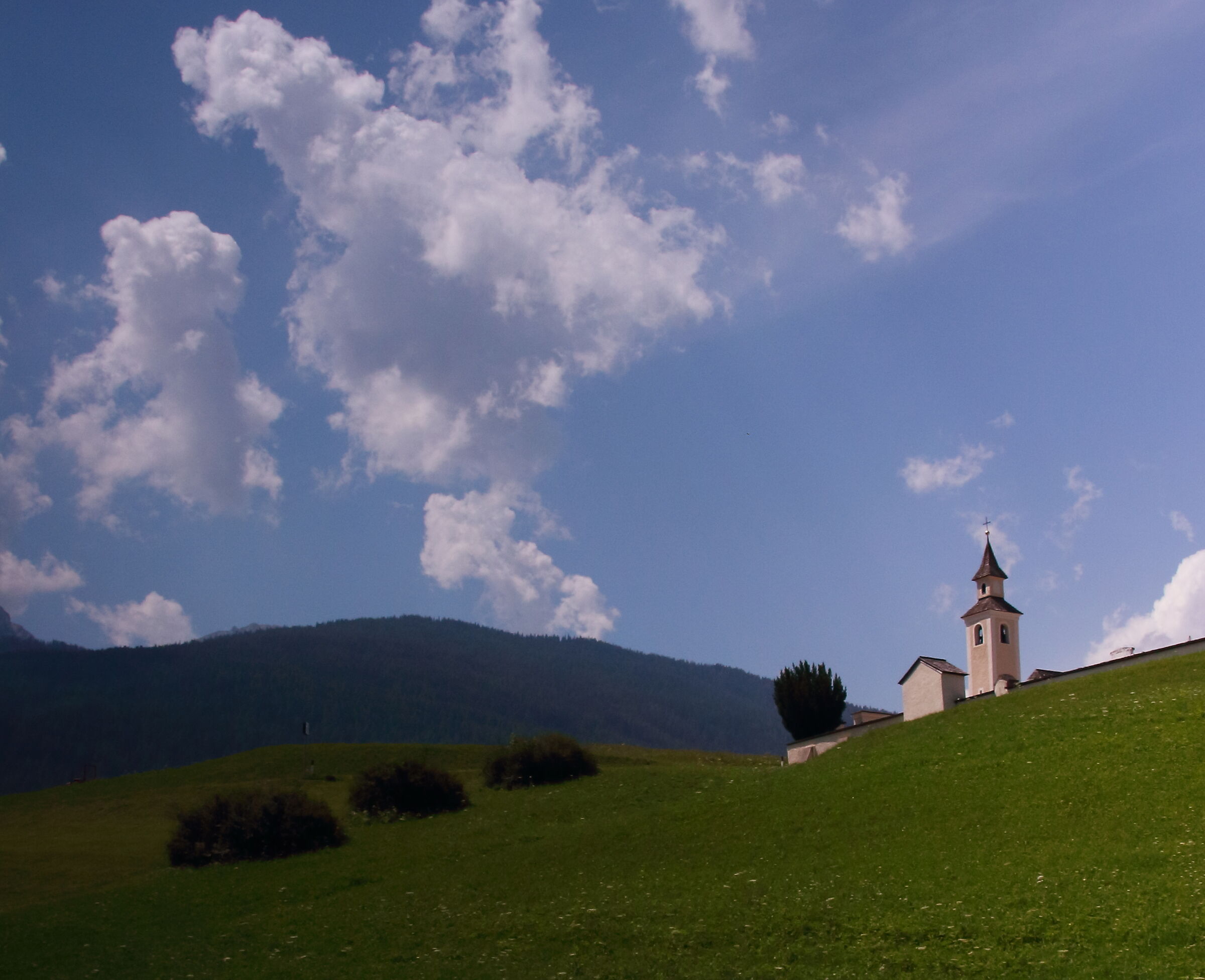 trentino a.a.