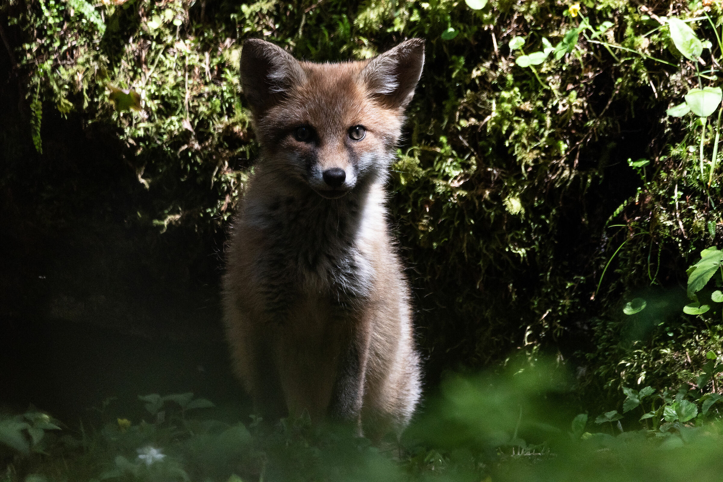 tra poco inizierai ad esplorare il mondo