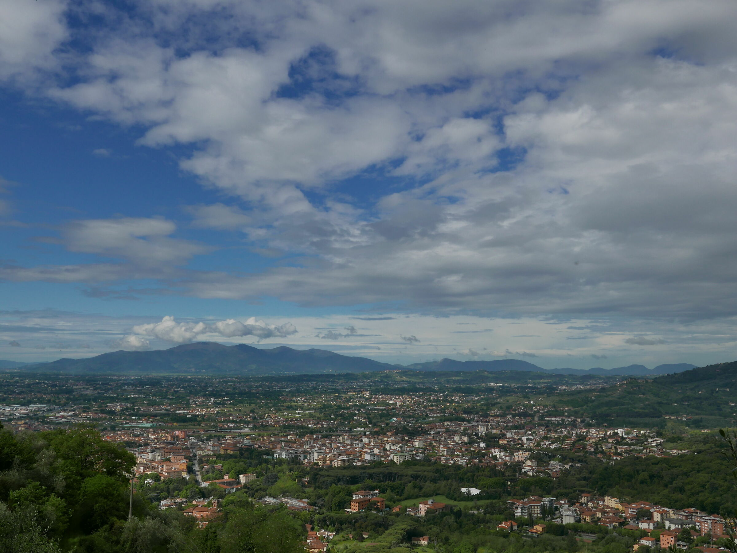 Montecatini Landscape