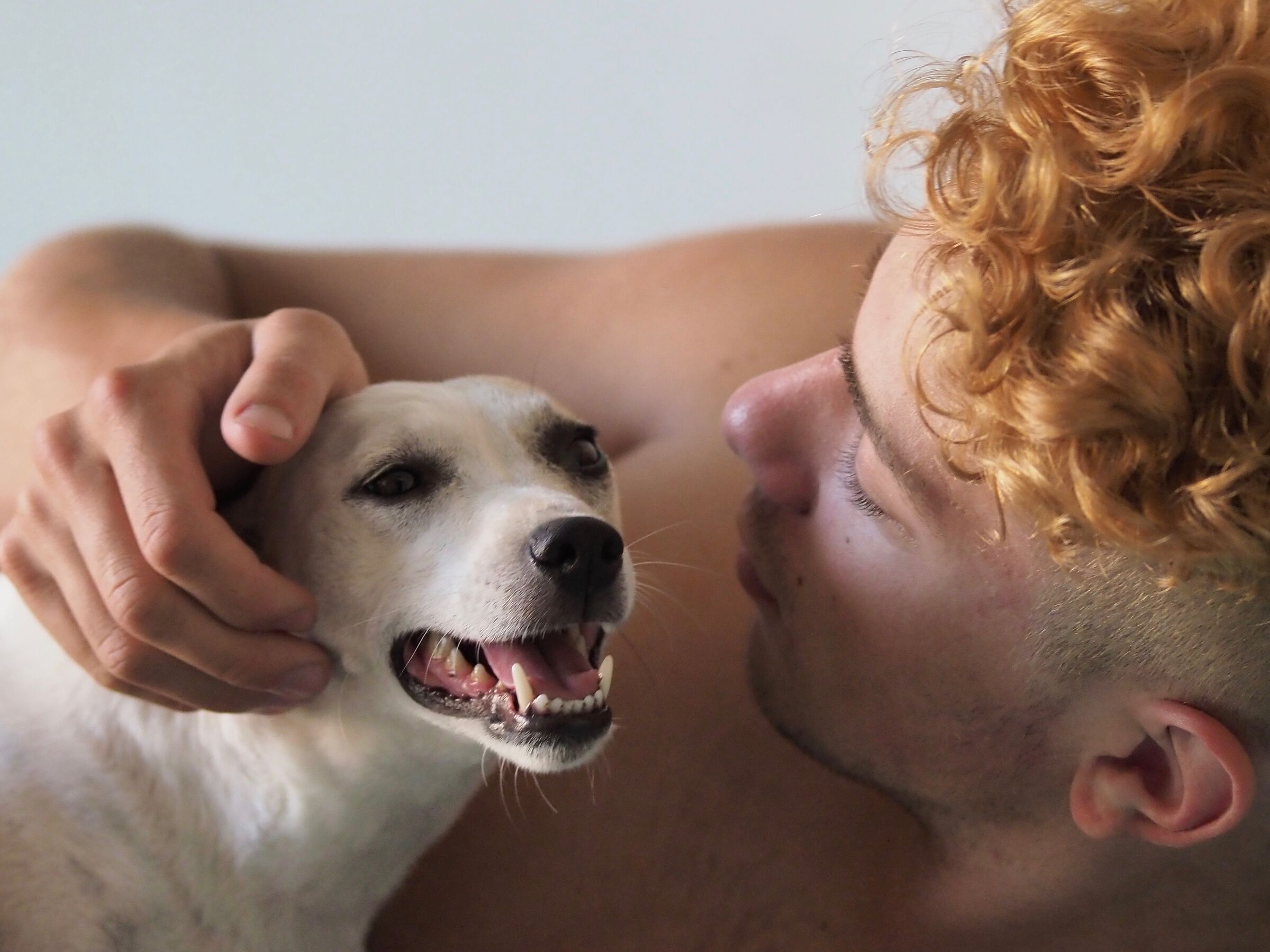 Oh Oh Orange & The Terrier