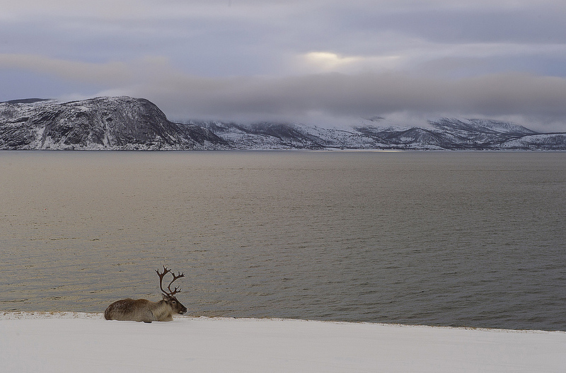...la vera pace interiore