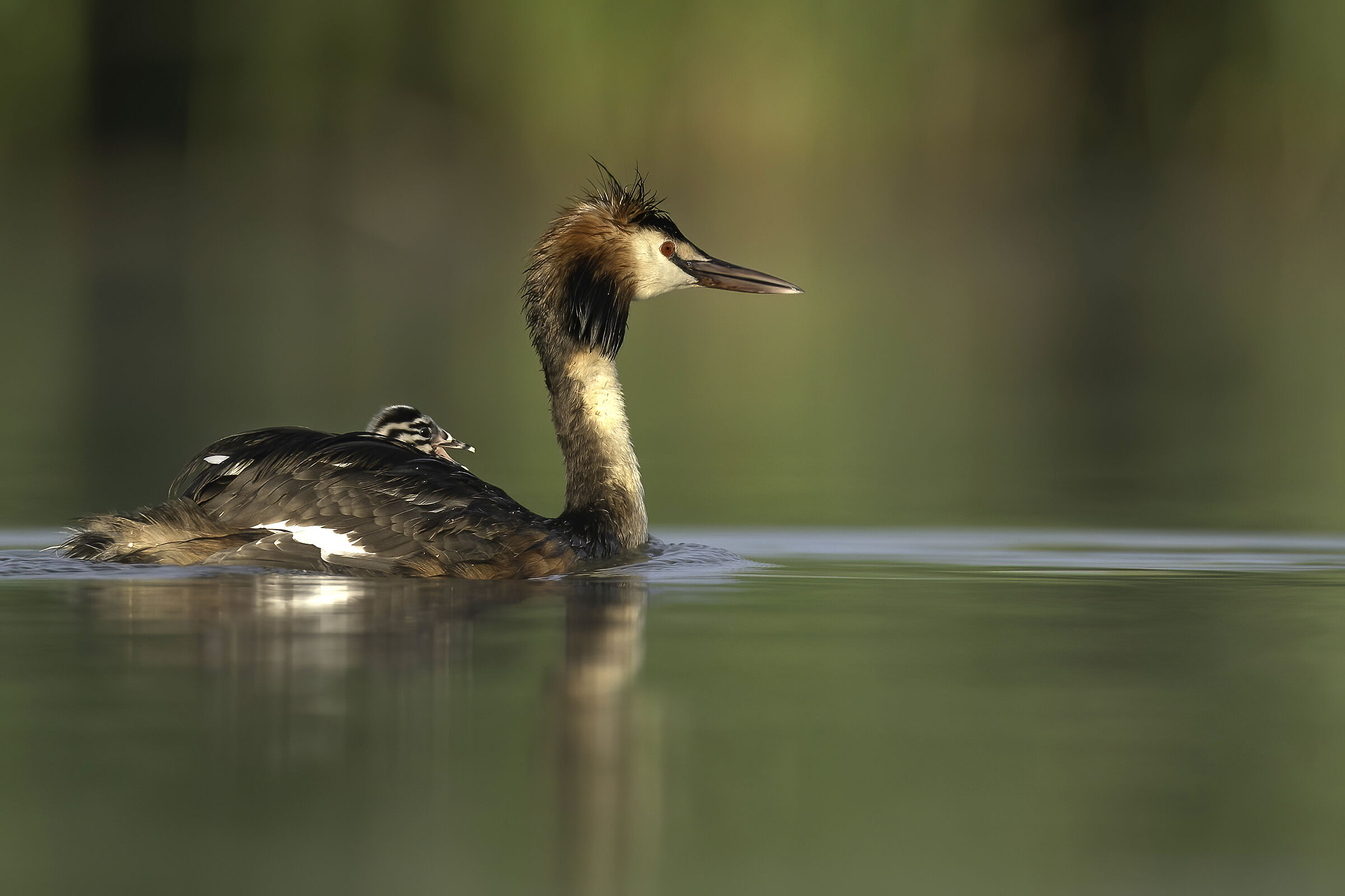 First moments of life