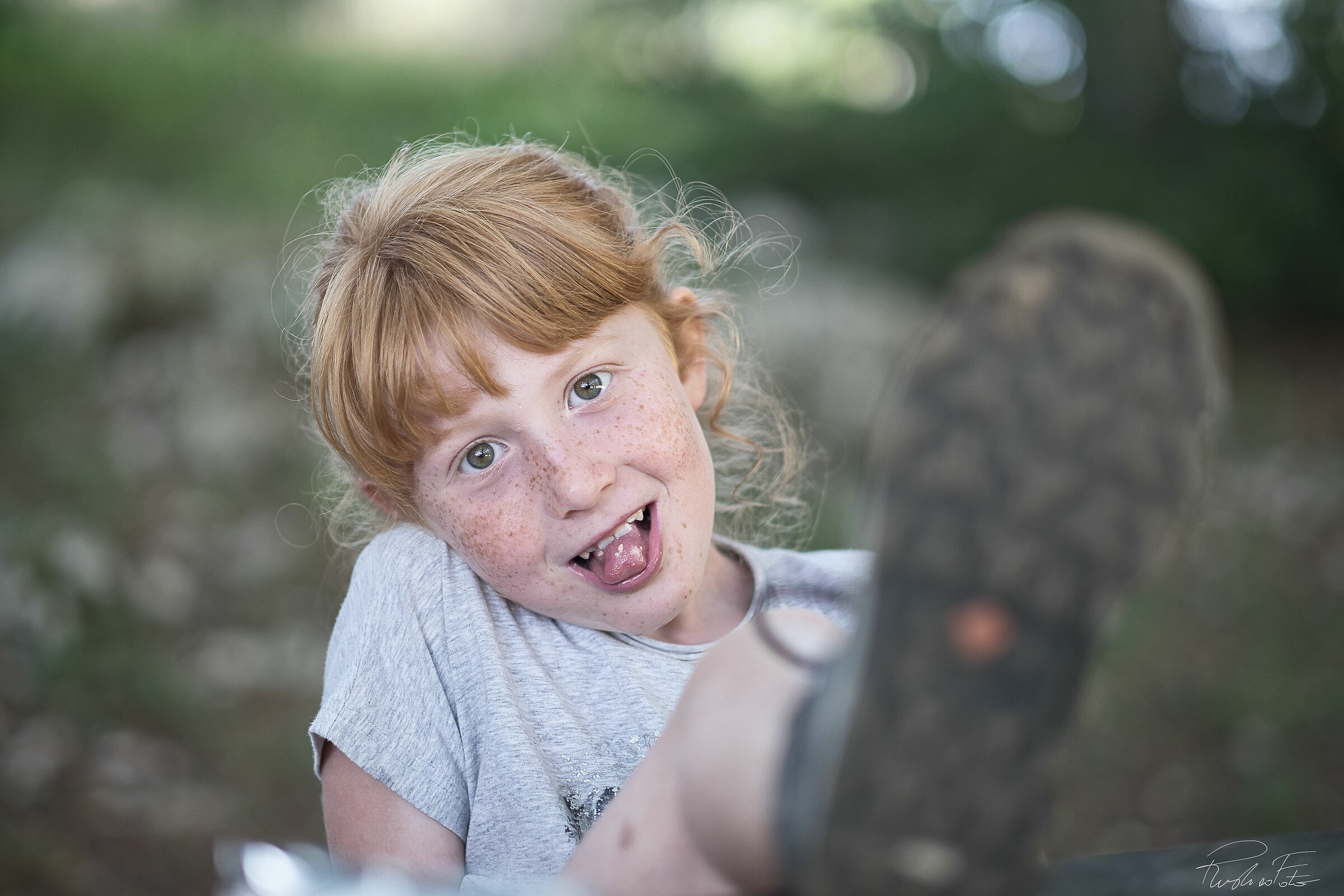 Little Trekker, New1000