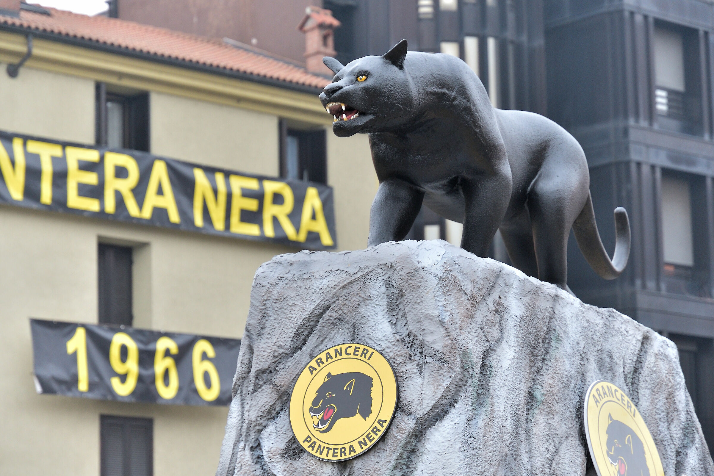 Carnevale d'Ivrea 2020 - Squadra "Pantera Nera&quot...
