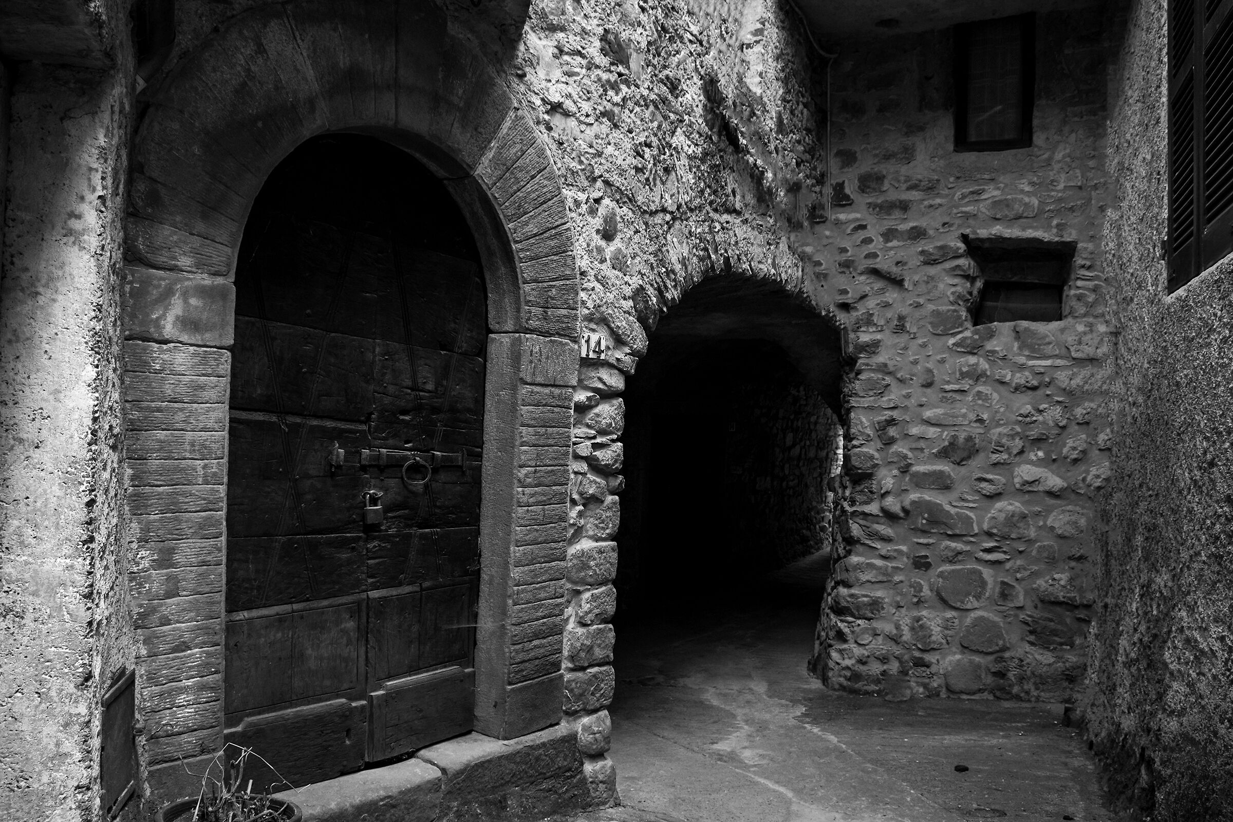 A leap into the past