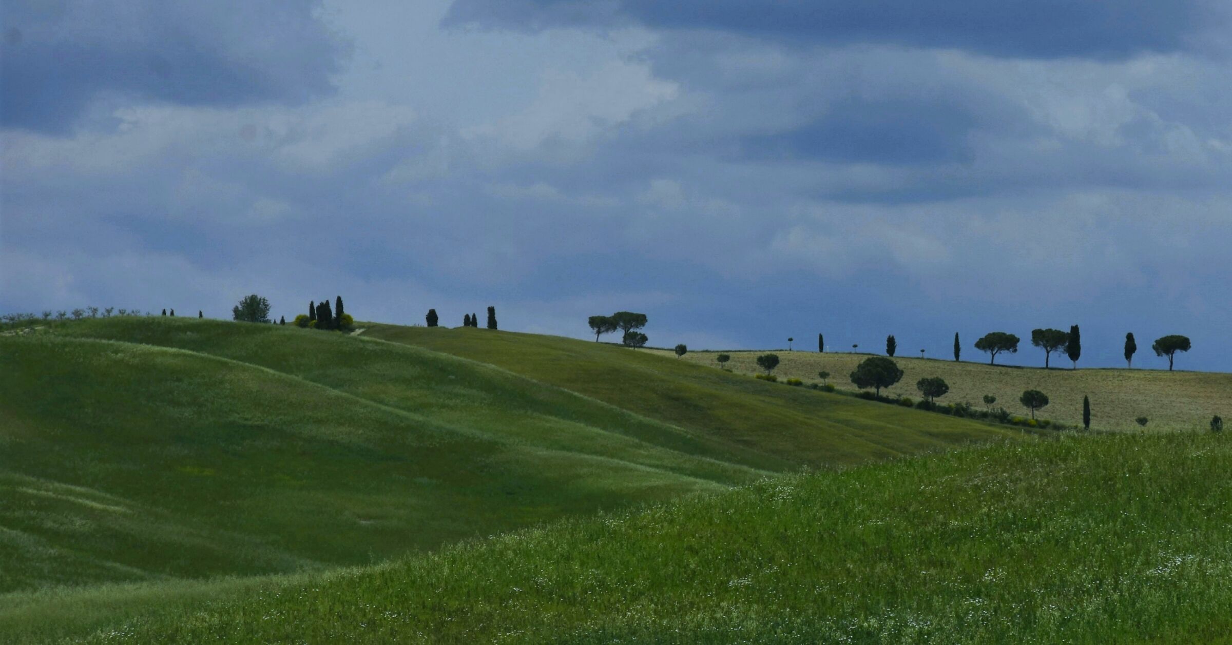 un vedere...celebre ma..diverso