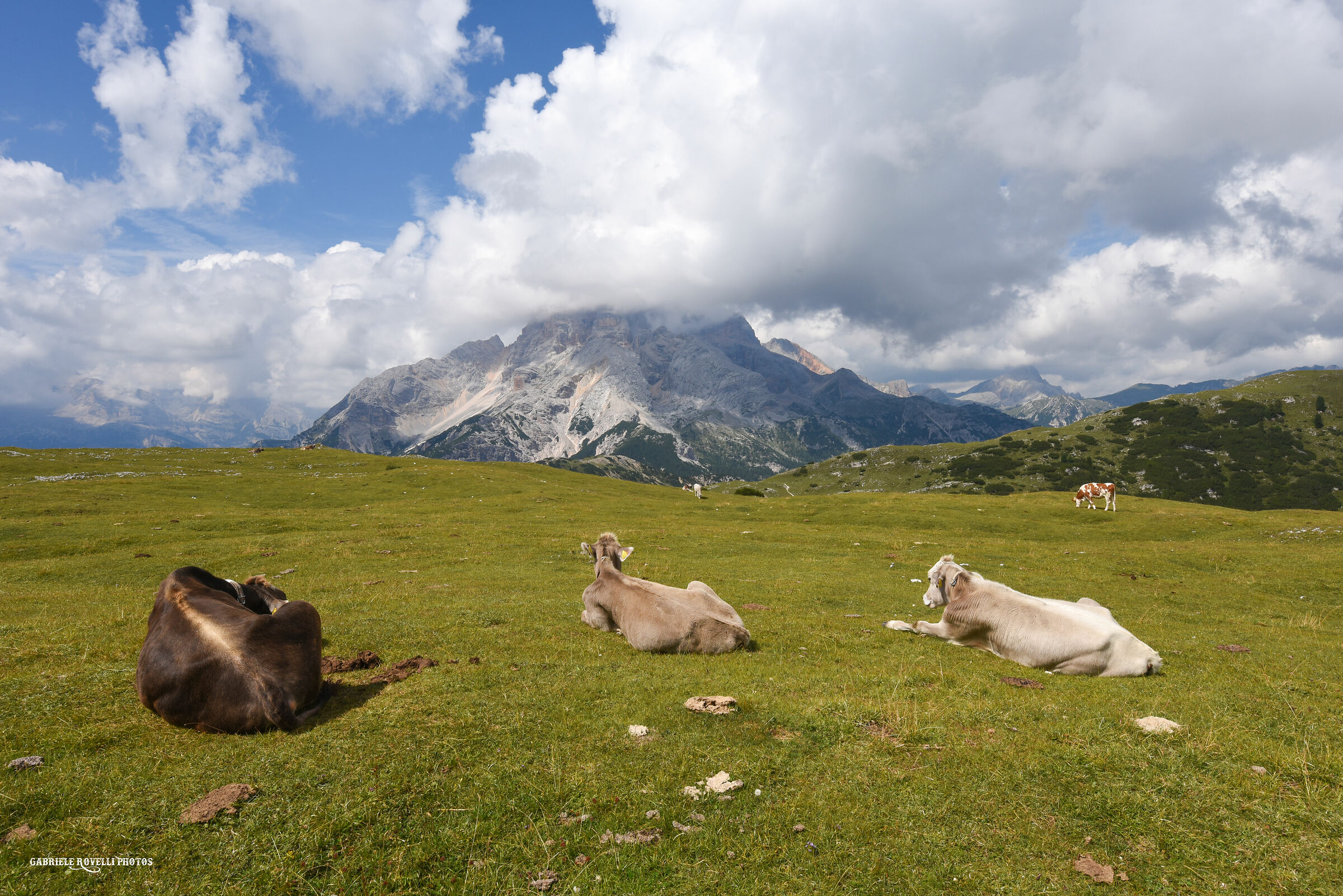 admiring the Red Croda