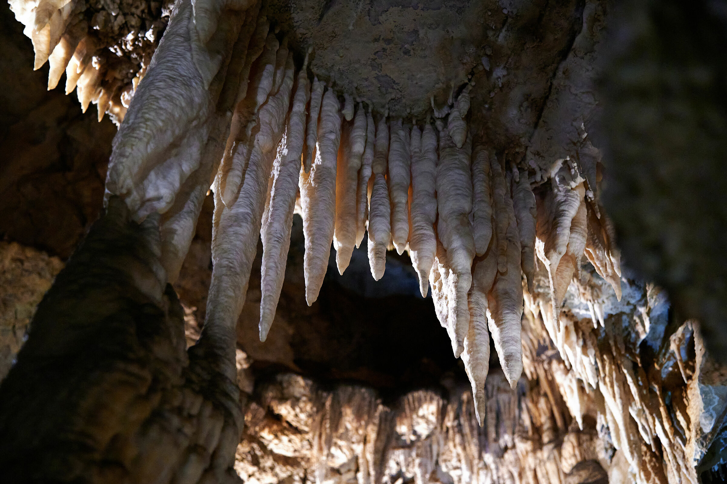 Nell'Antro del Corchia -4-