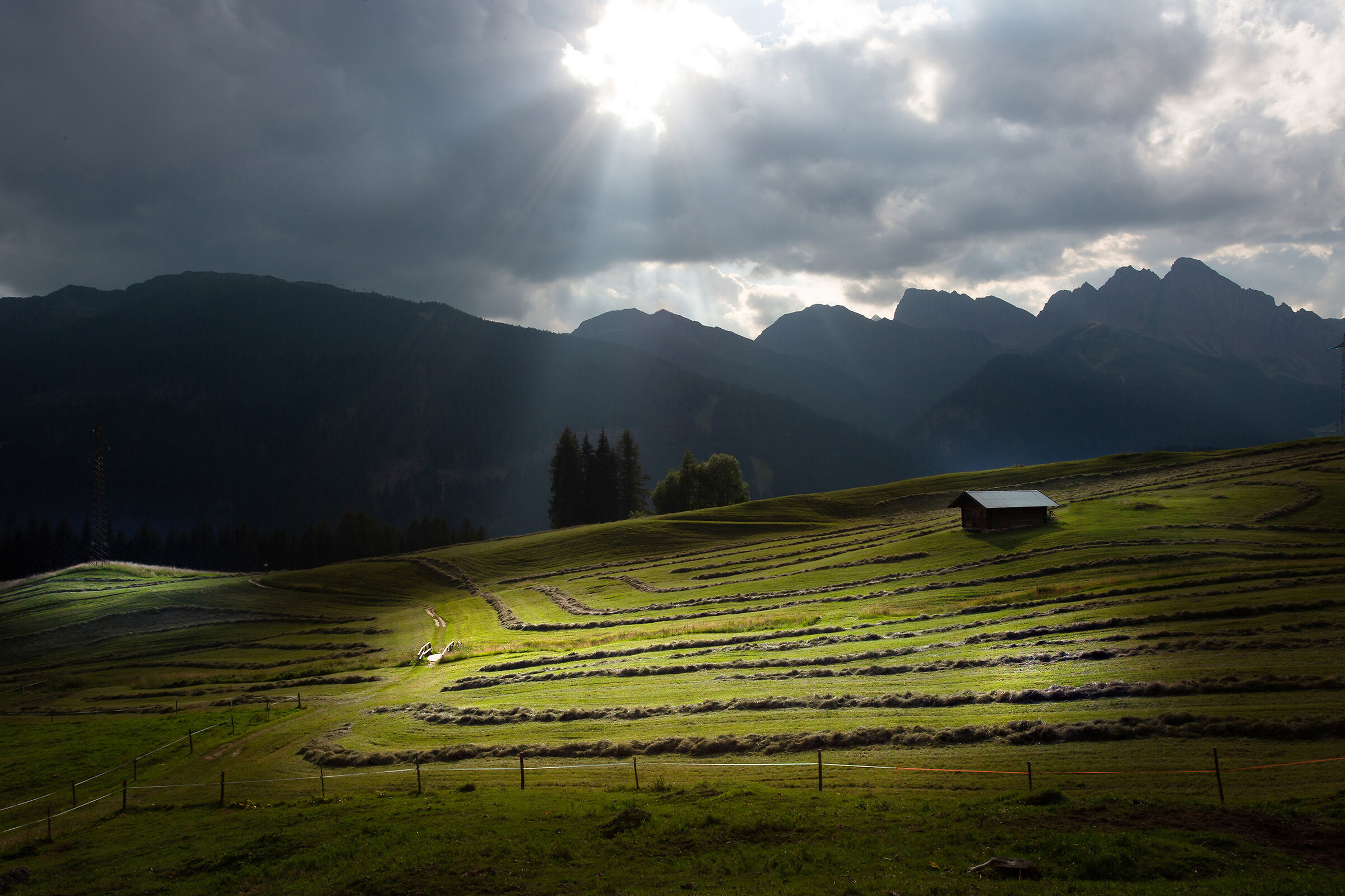 Effimere intriganti visioni