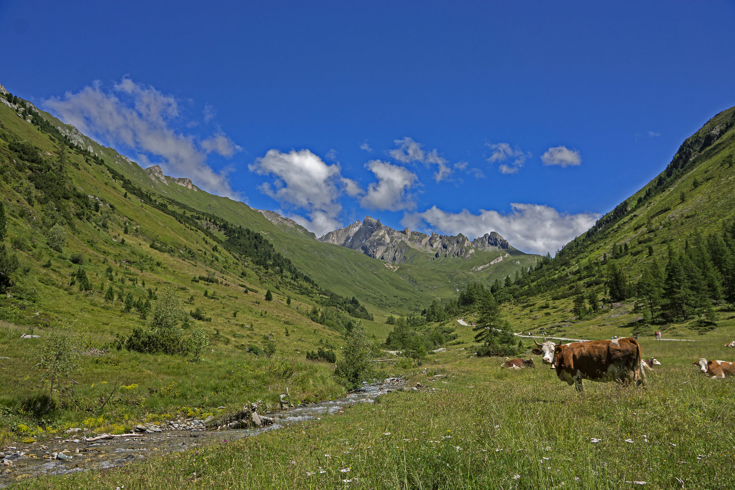 Bucolic environment; Tures Shore