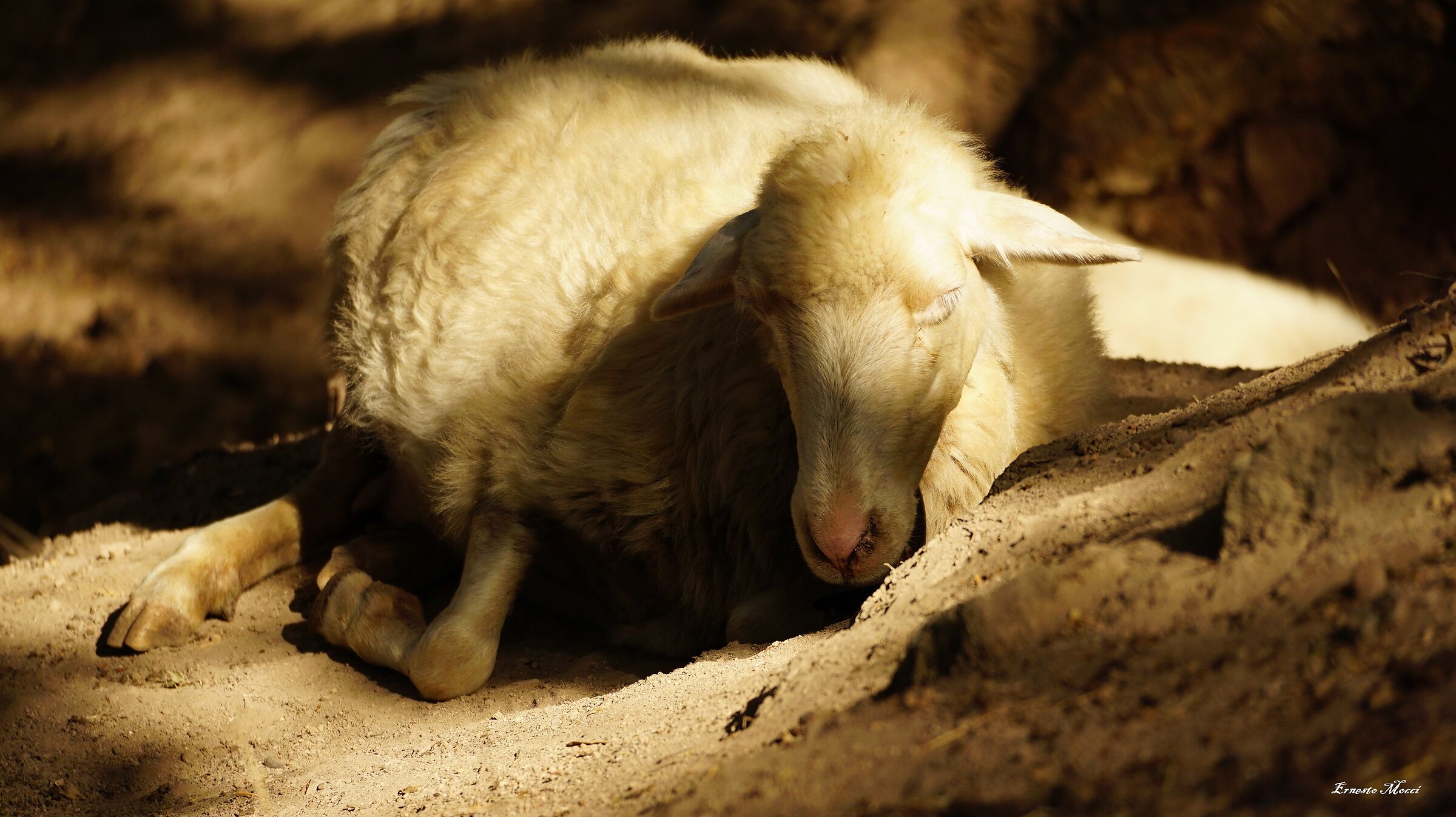 'alvèghe a su dormschìda