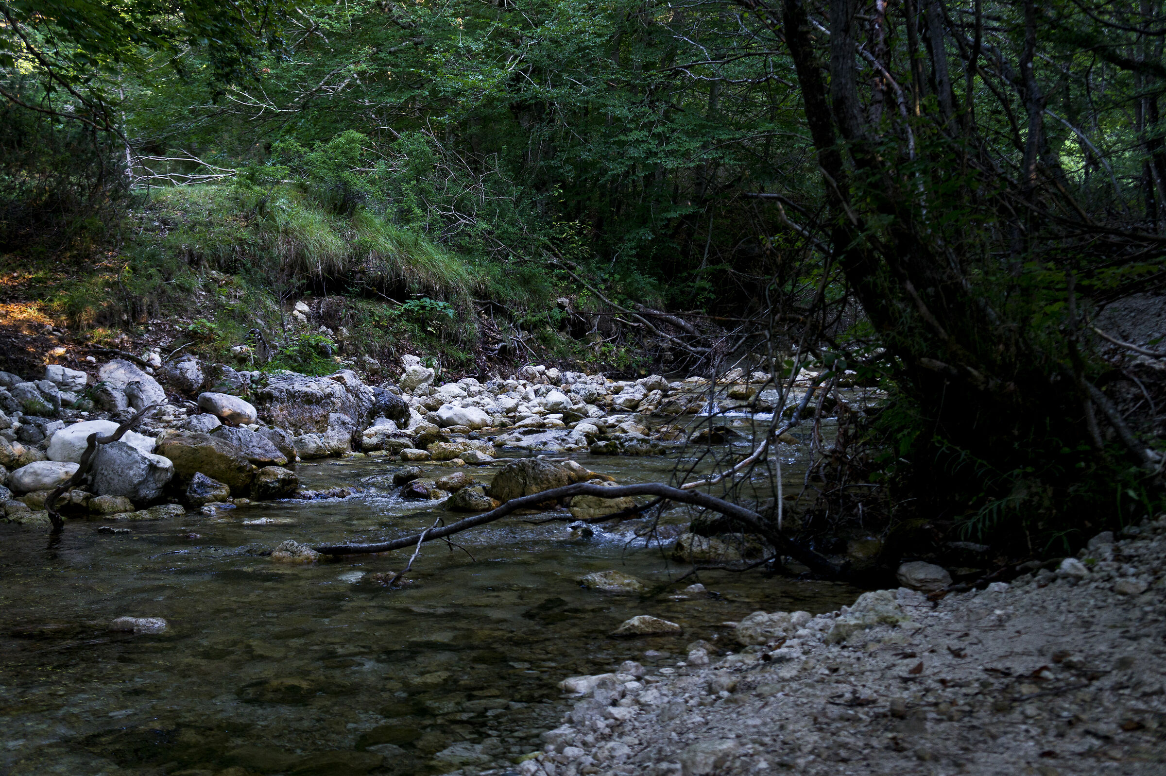 Fiume