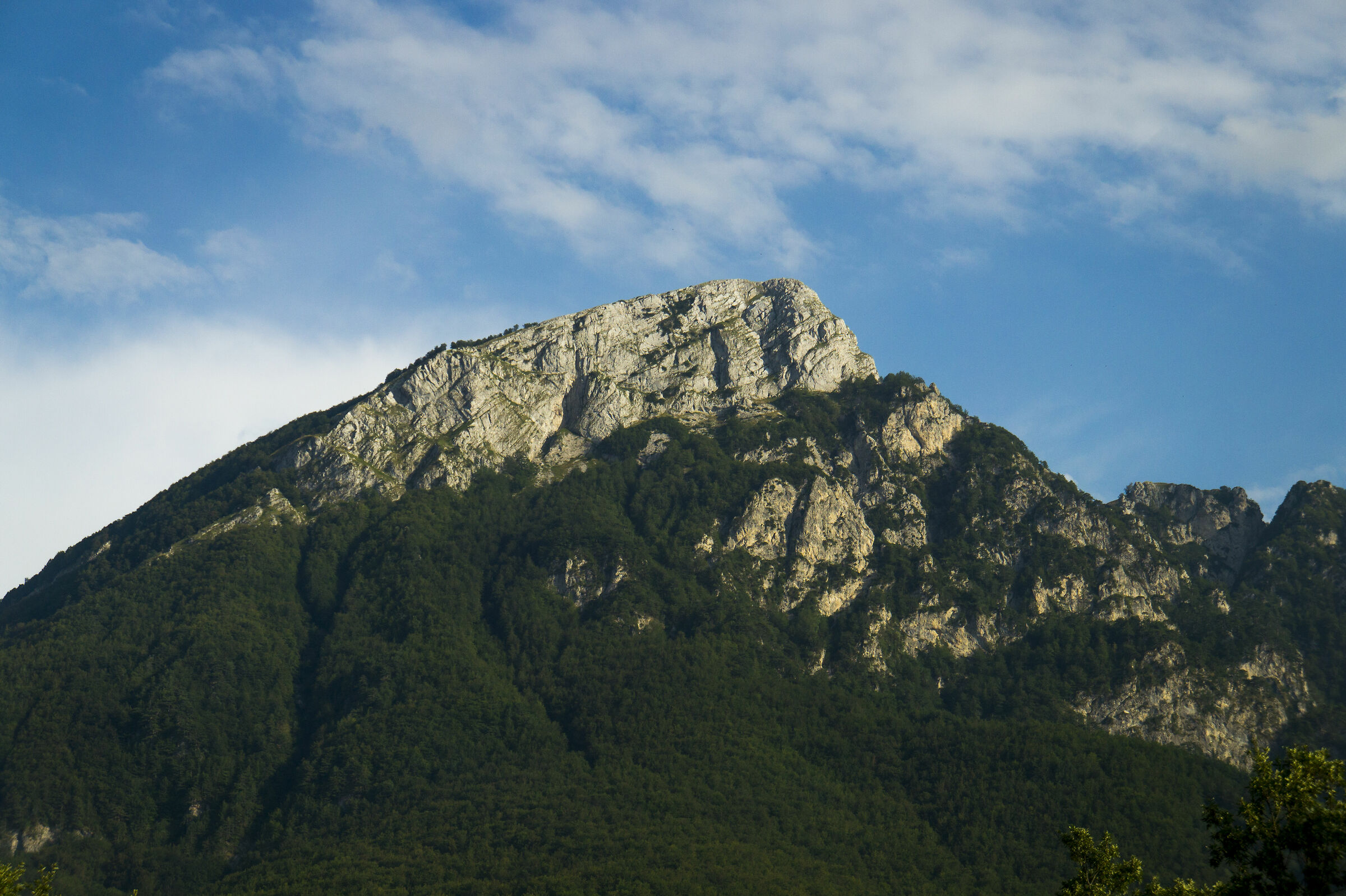 Cartolina