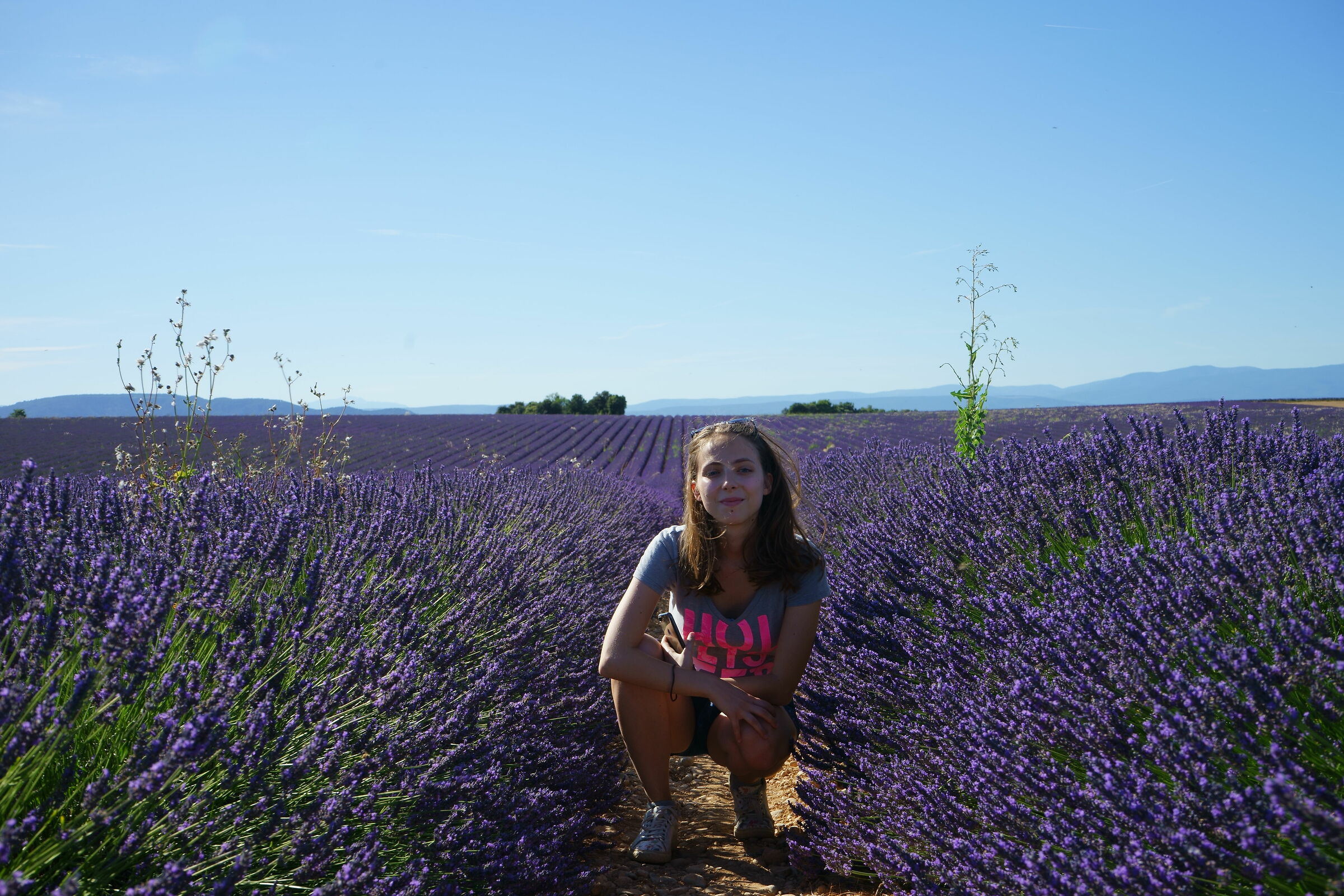 Tra la lavanda