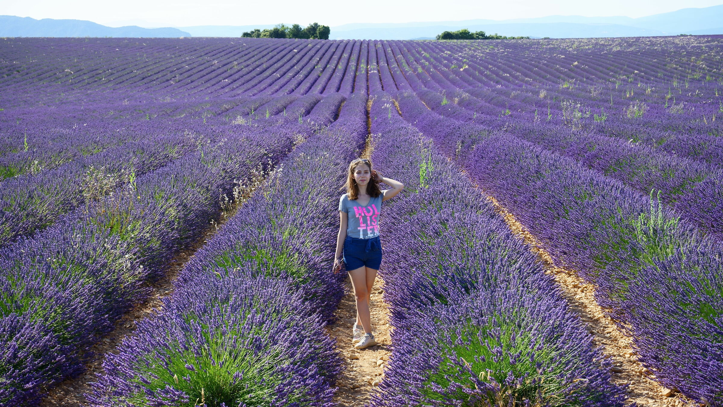 Between the lavender