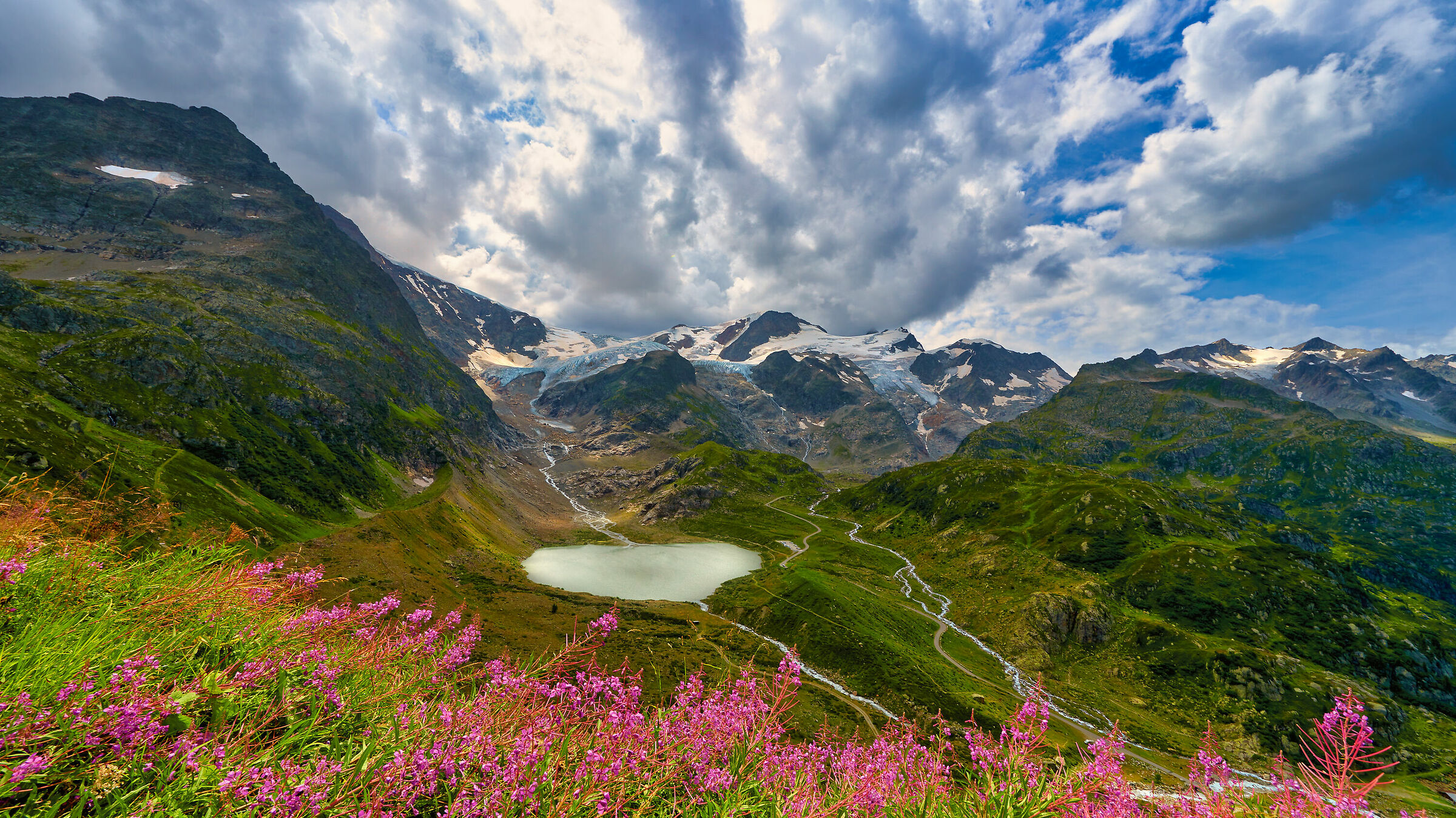 Sustenhorn, New Zealand