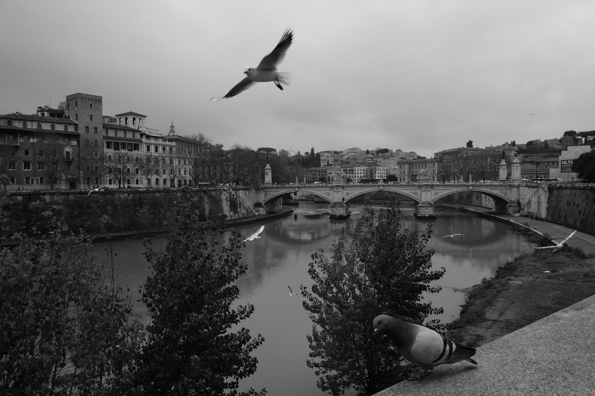 Veduta da Ponte Sant'Angelo - Roma, 2018