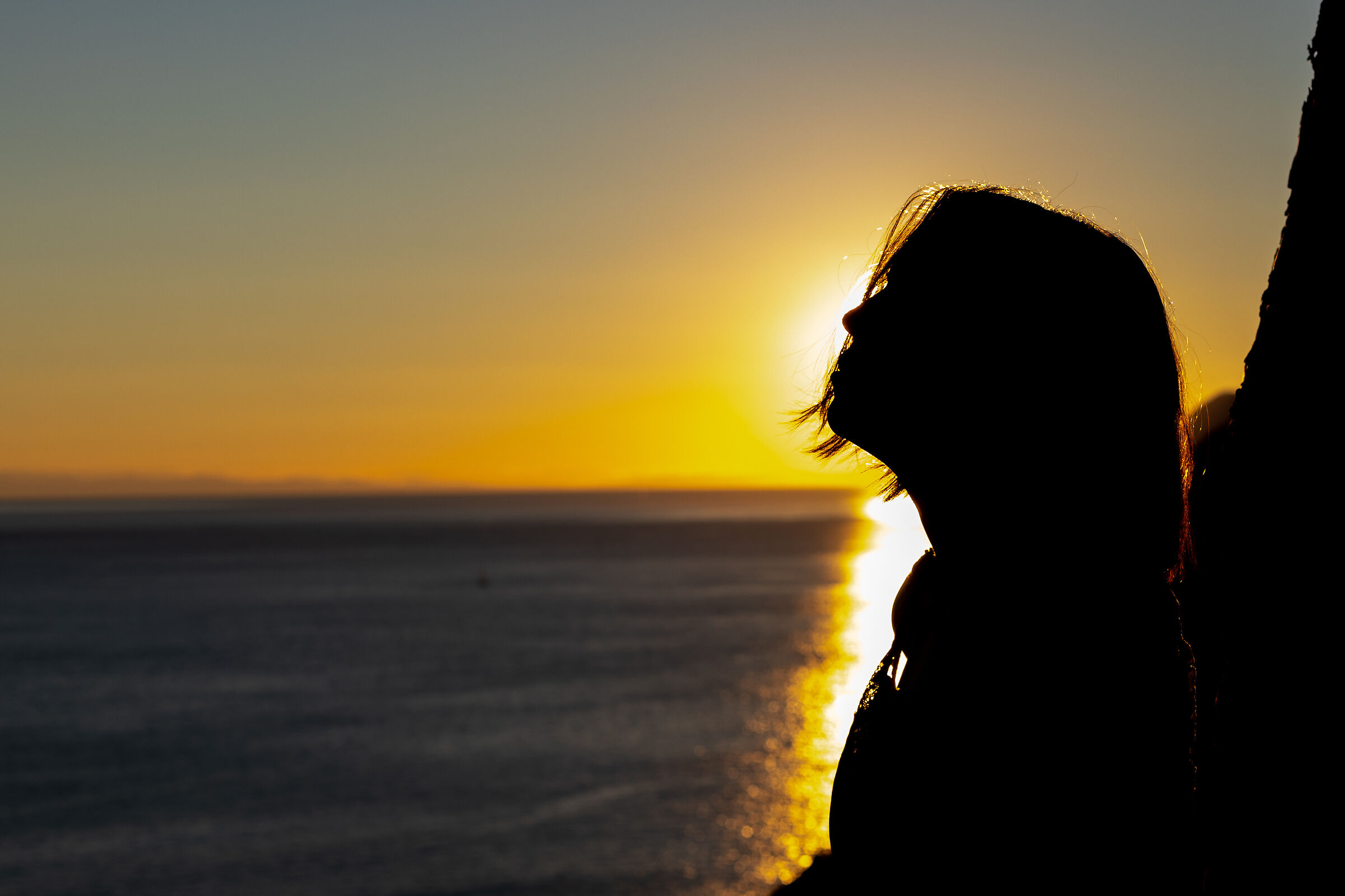 Attempt to silhouette #2